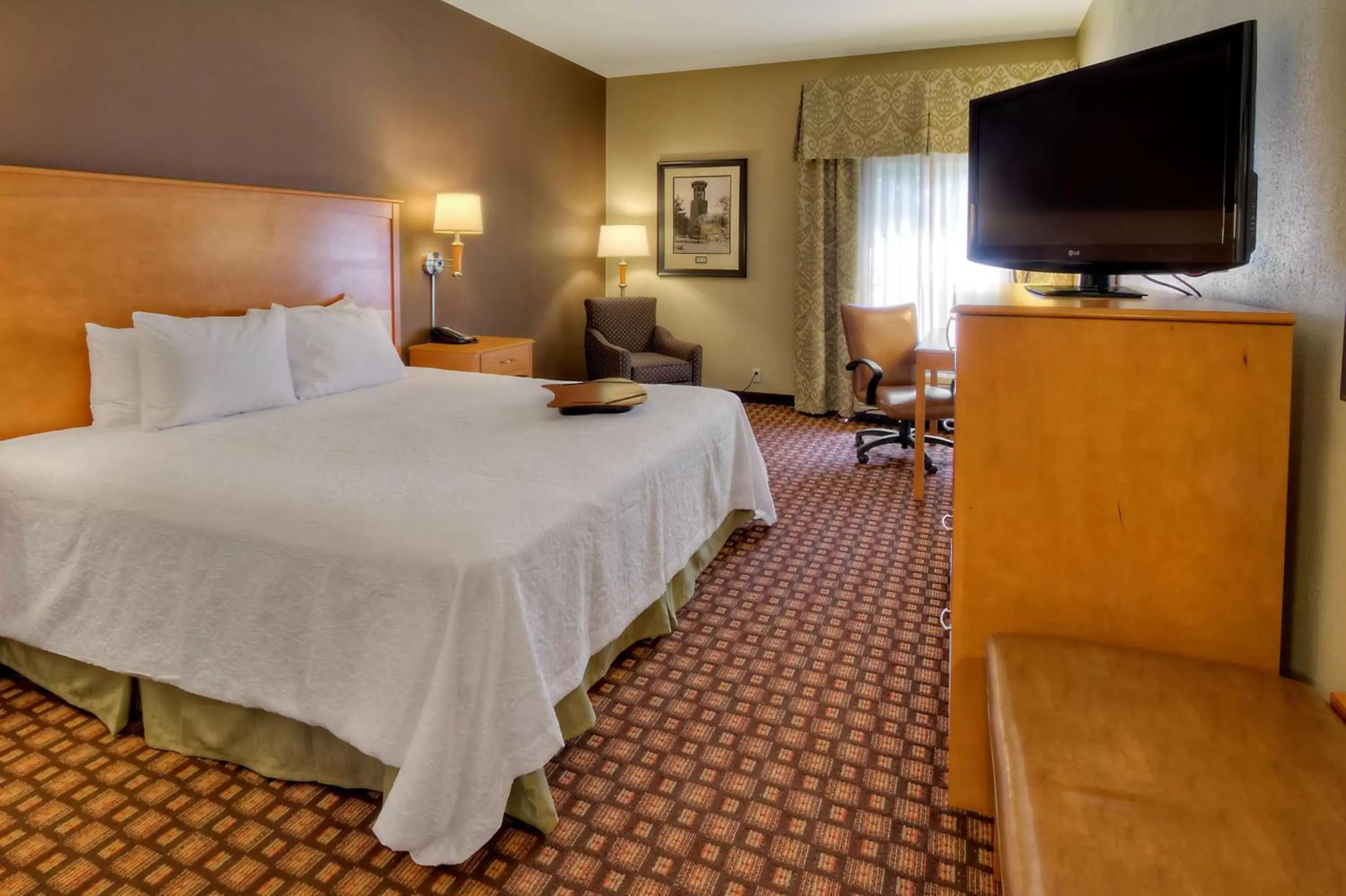 Bed, TV/Entertainment Center in Hampton Inn & Suites Nashville-Vanderbilt-Elliston Place