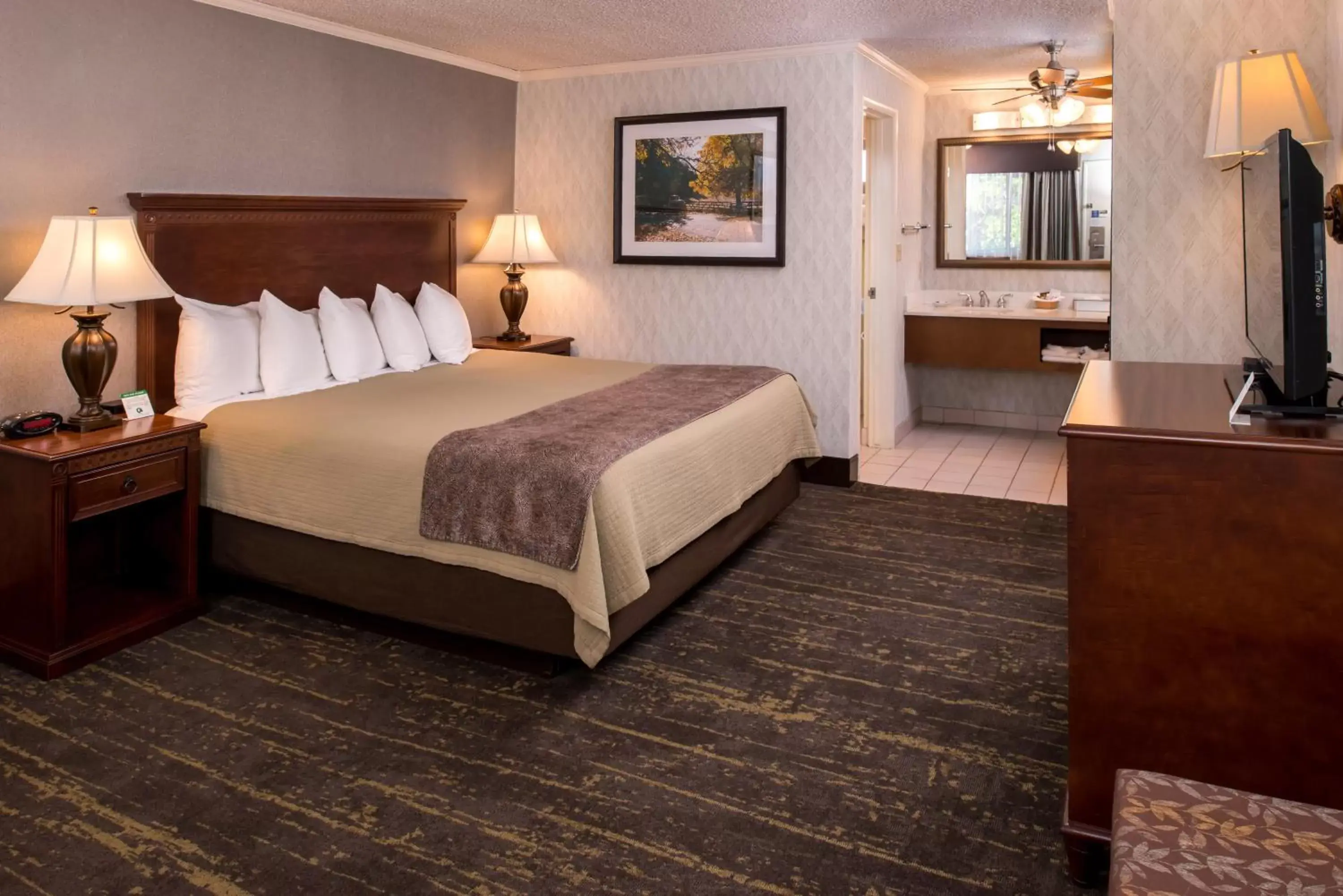 Photo of the whole room, Bed in Best Western Plus Black Oak