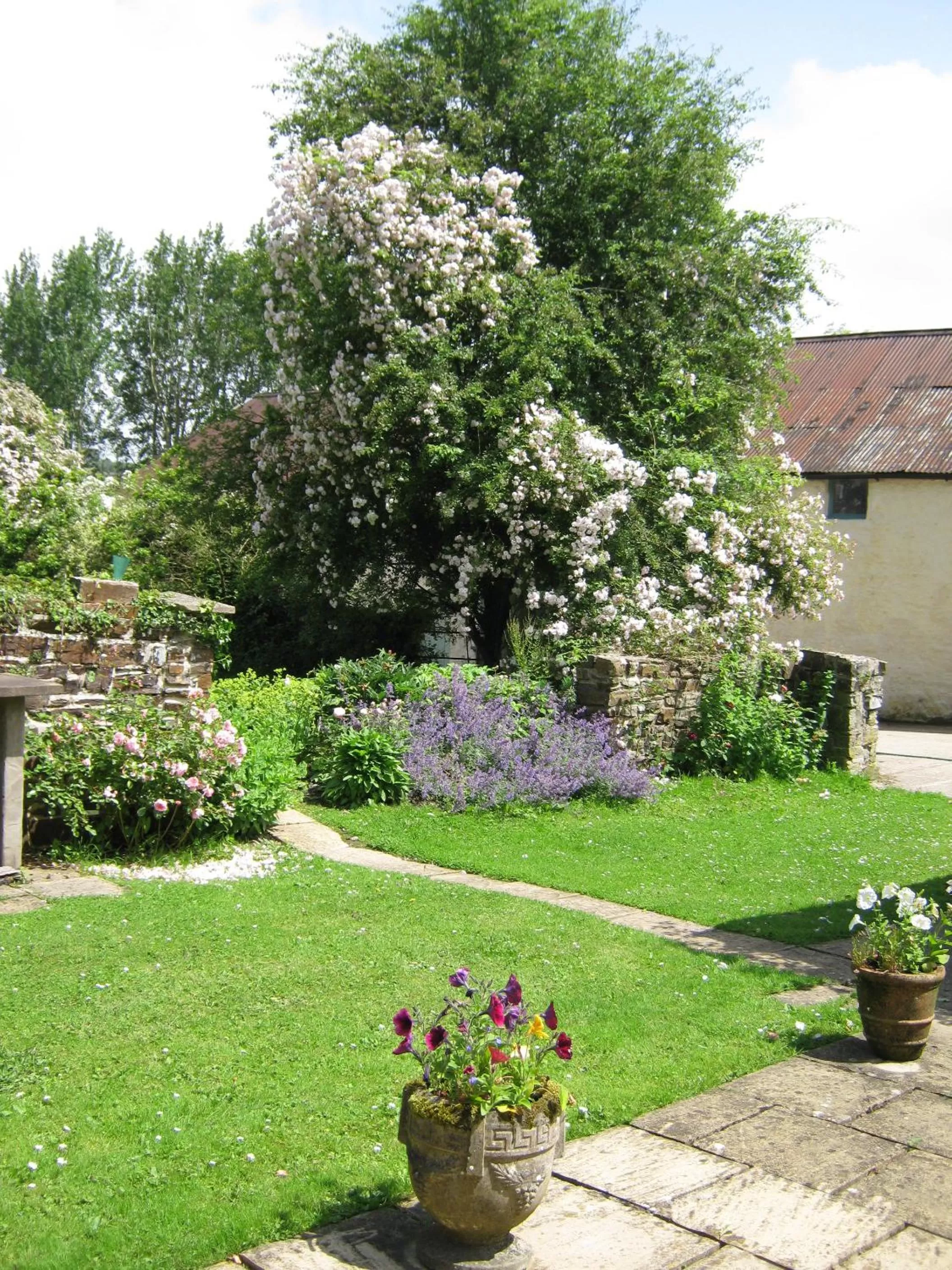 Garden in Hollamoor Farm