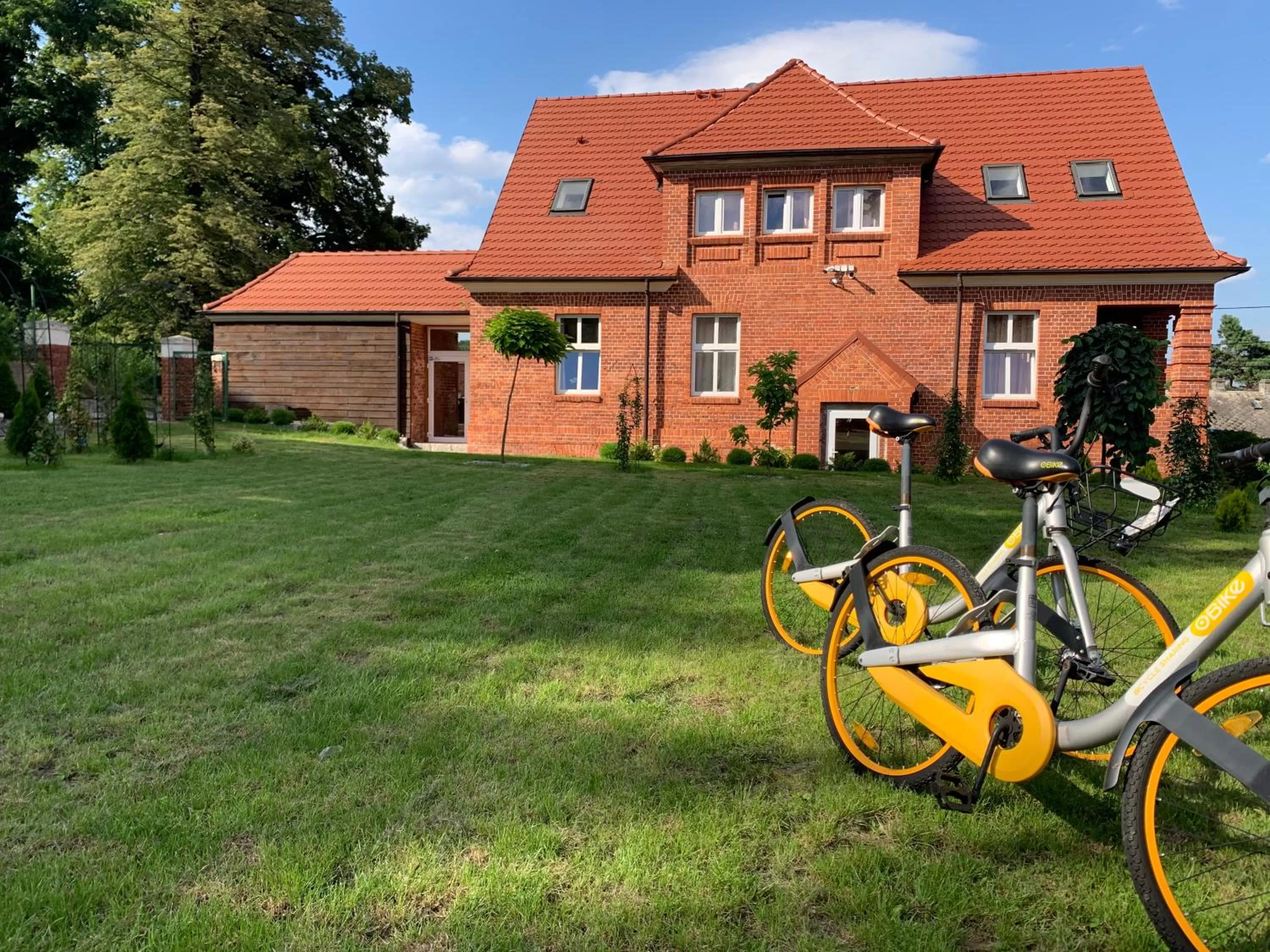 Garden, Property Building in Willa Starowiejska
