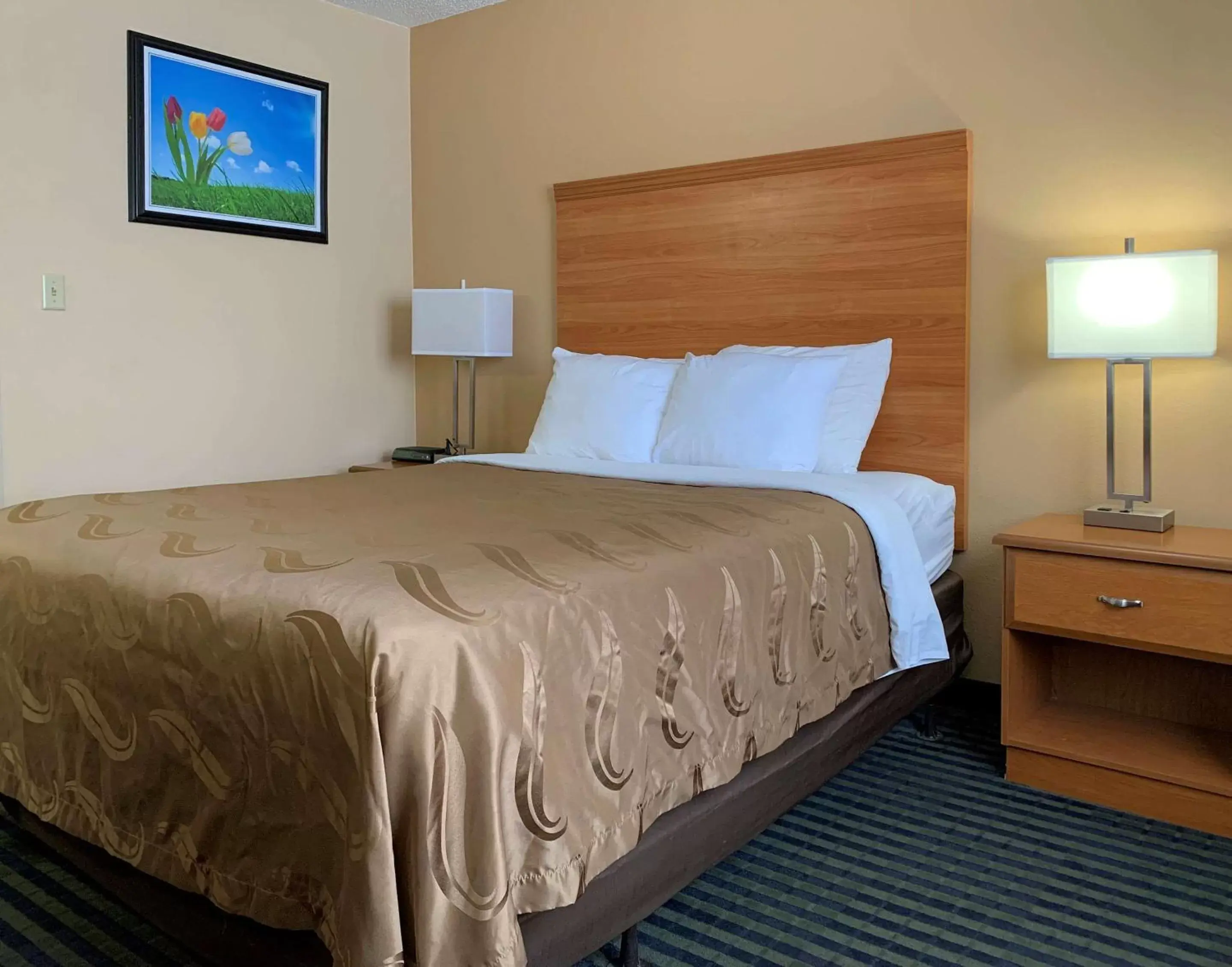 Photo of the whole room, Bed in Quality Inn Ottawa near Starved Rock State Park