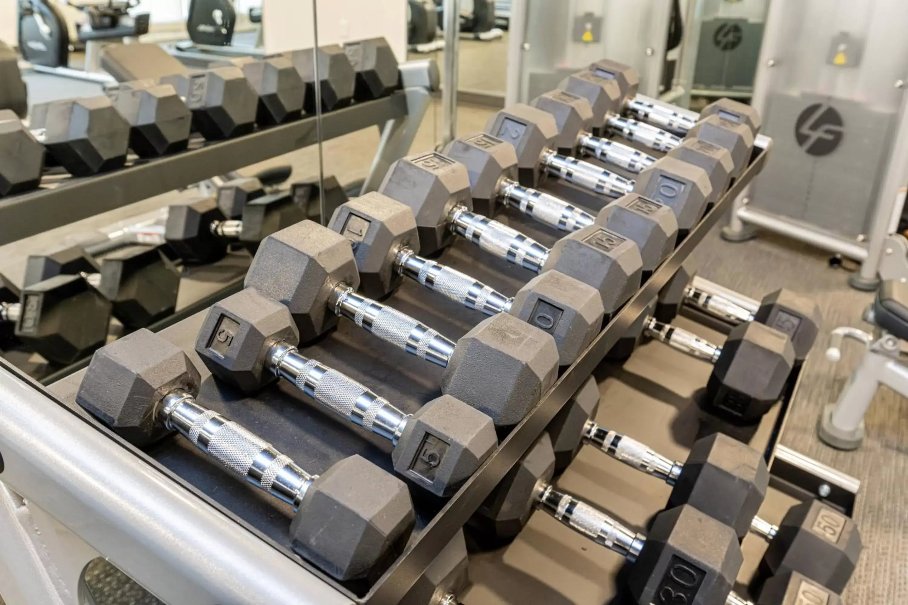 Fitness centre/facilities, Fitness Center/Facilities in Courtyard Asheville Biltmore Village