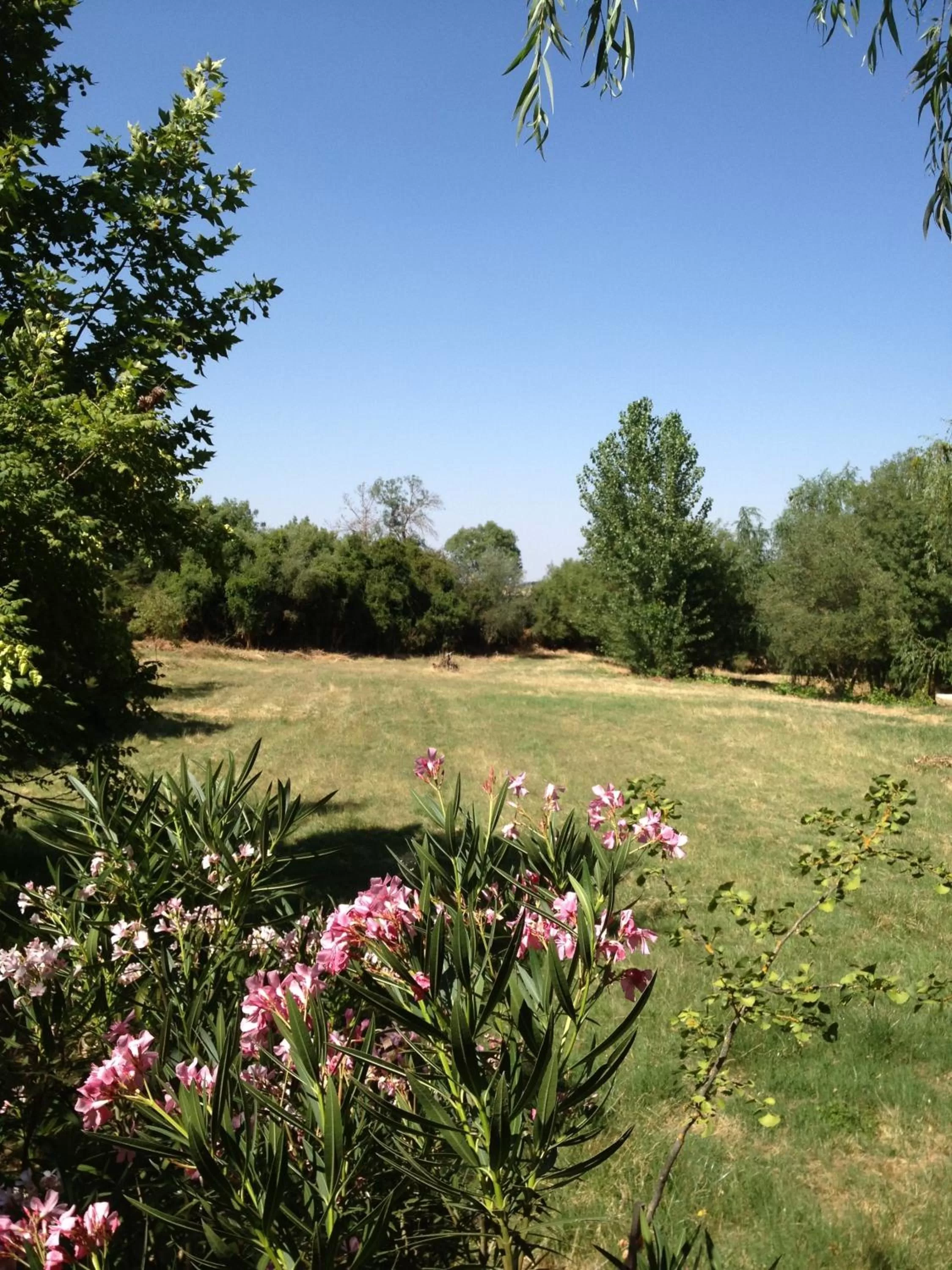 Garden in Hotel Rural Monte da Provença