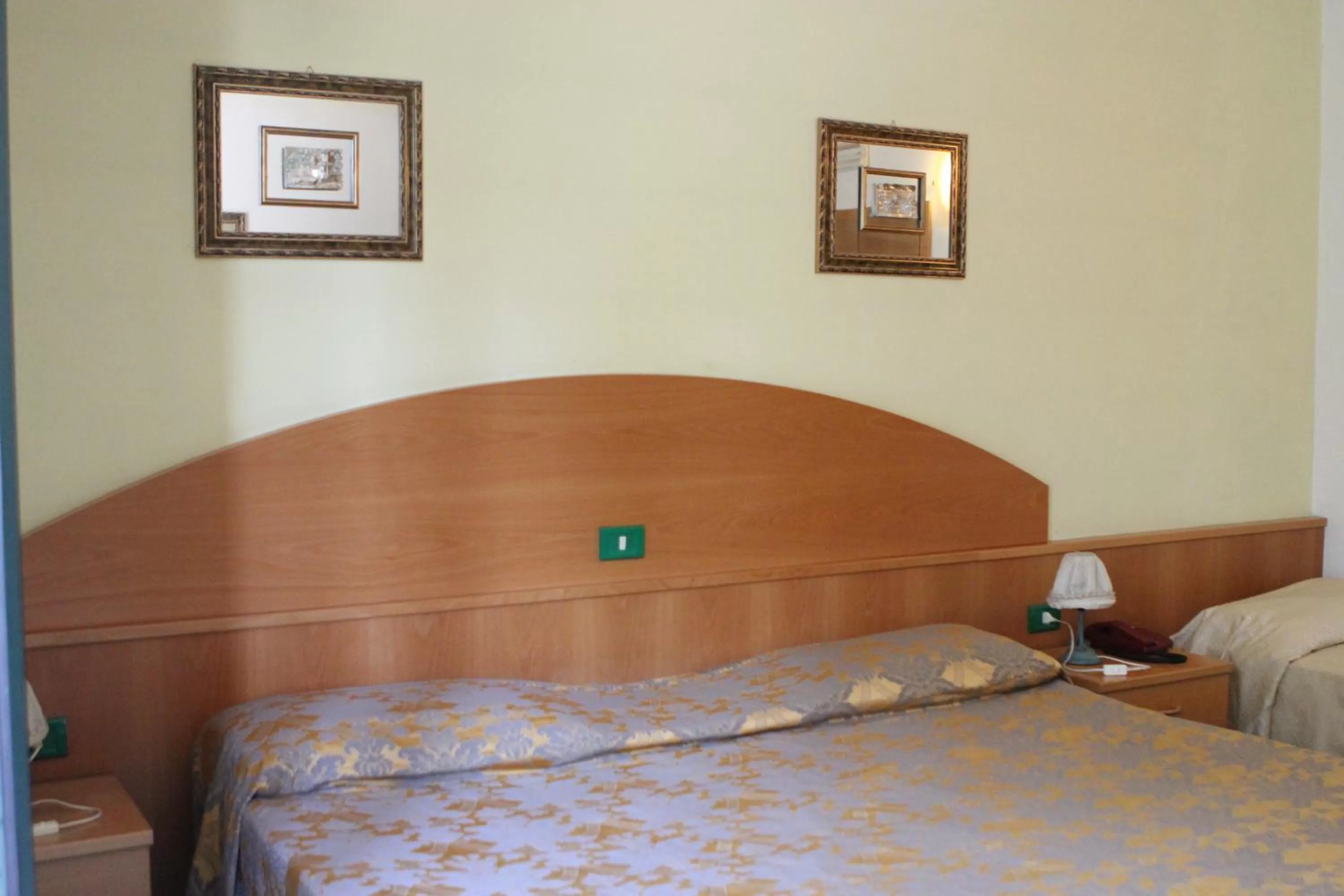 Photo of the whole room in Ascot Lodging