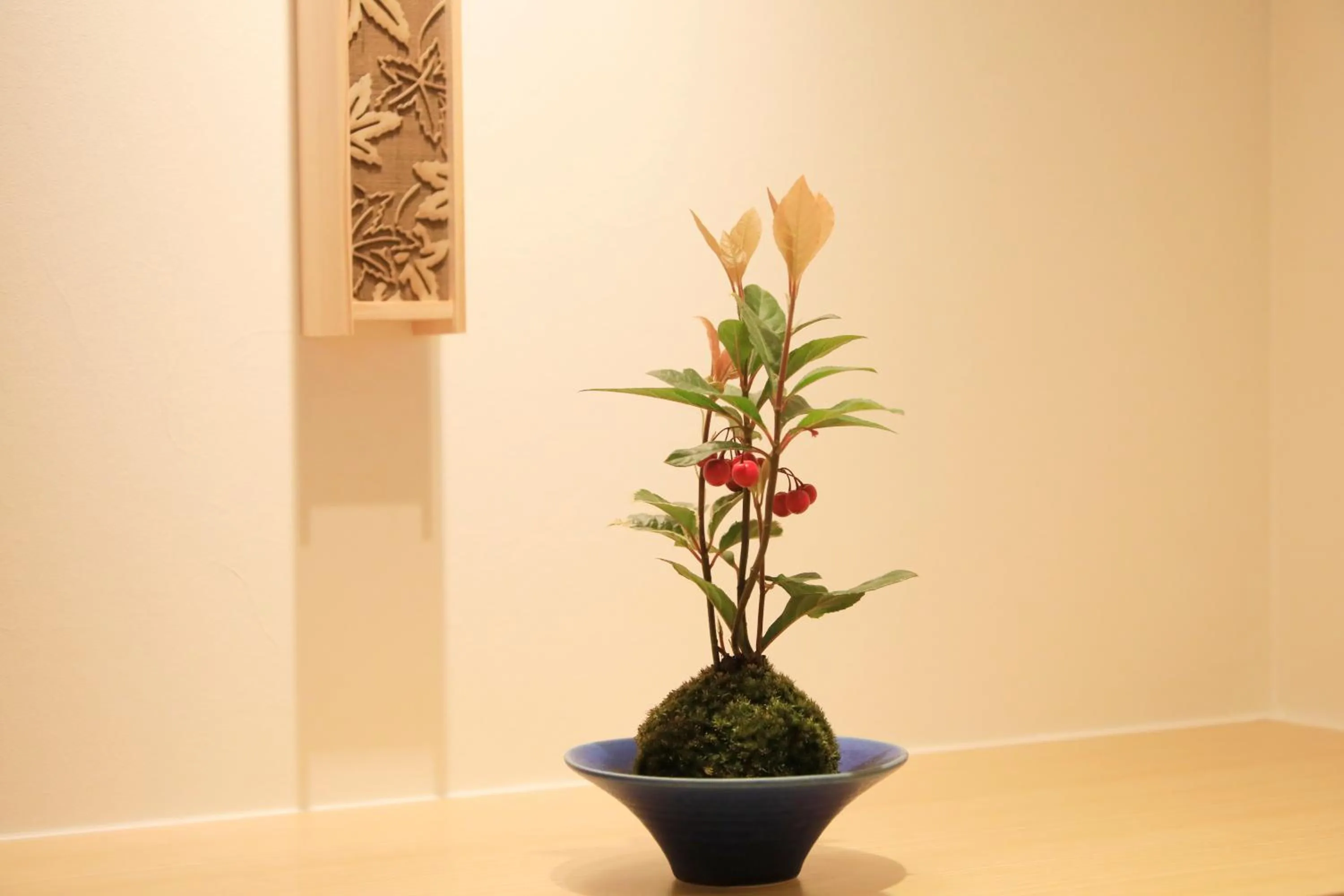 Photo of the whole room in Fuji Onsenji Yumedono