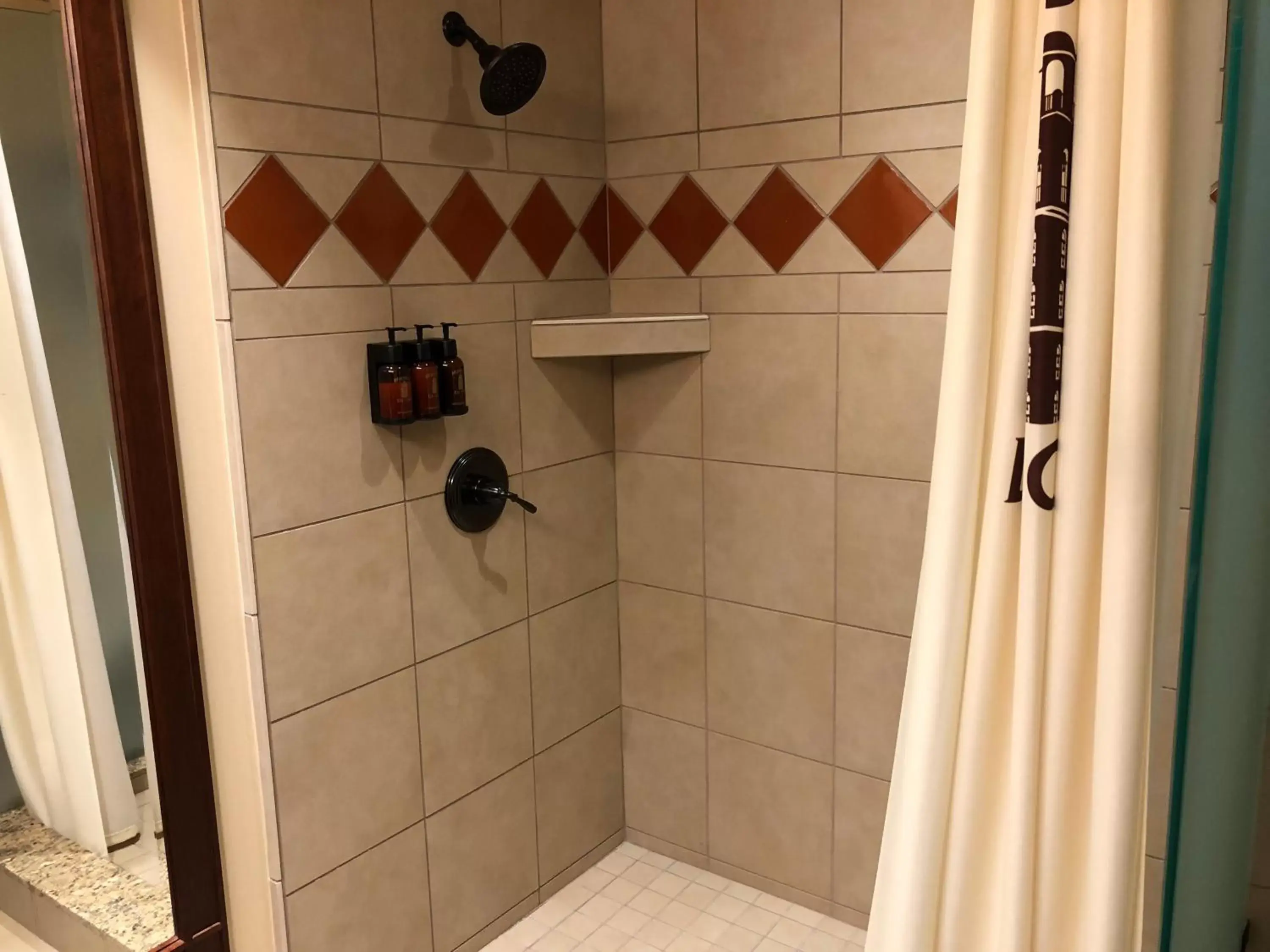 Shower, Bathroom in Hotel Mission De Oro