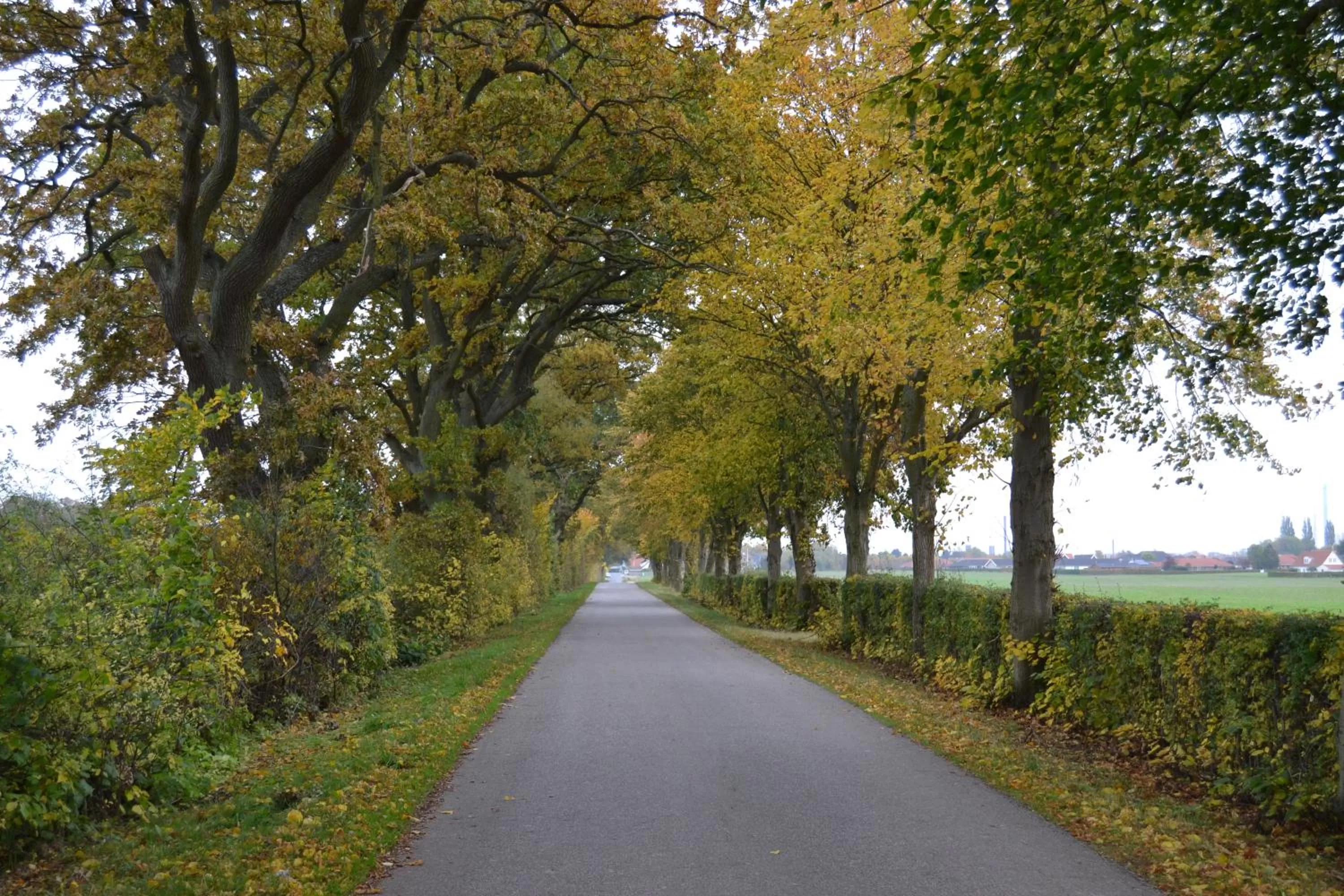 Off site, Garden in Ny Kirstineberg Gods Bed & Breakfast