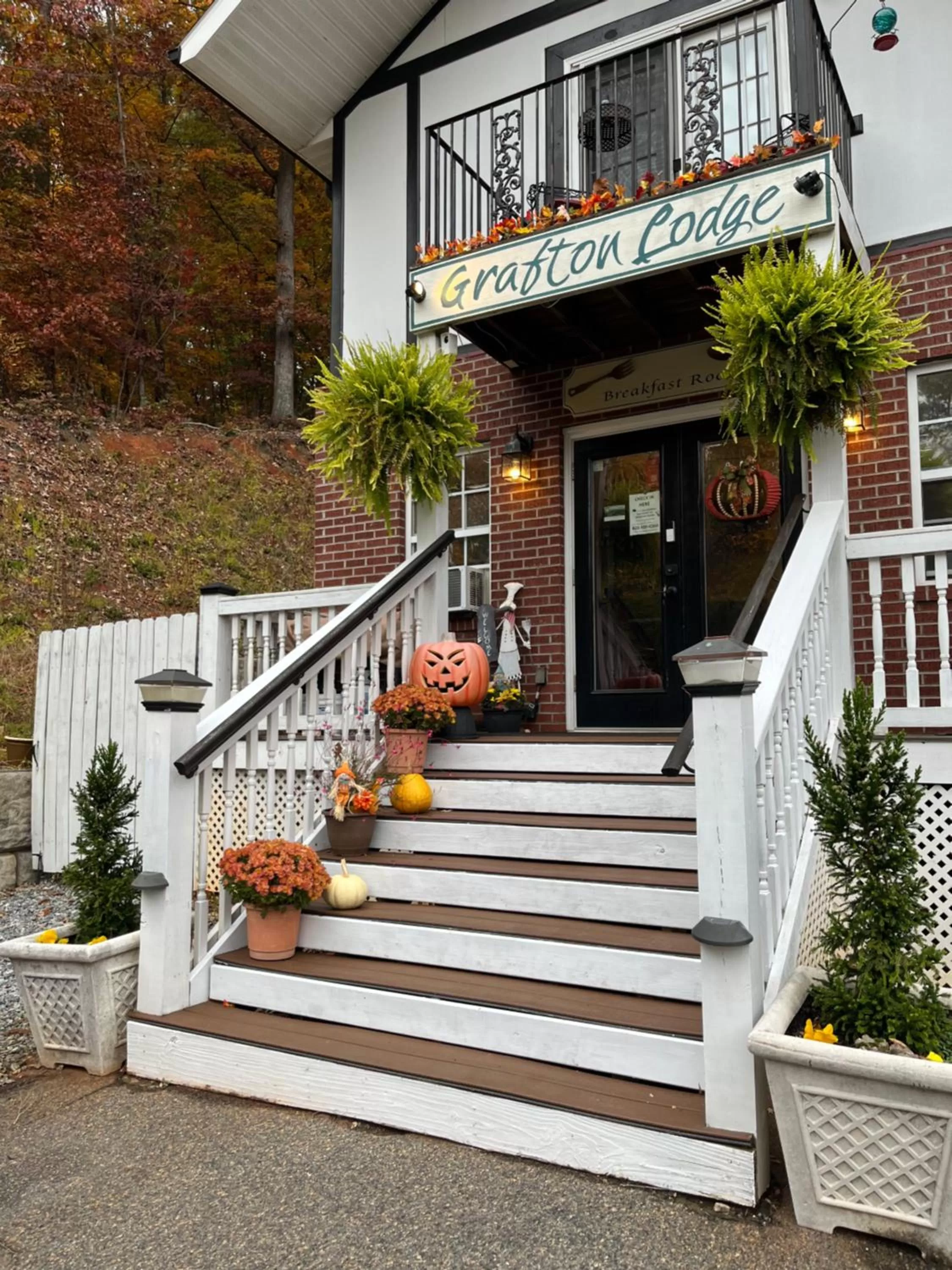 Property building in Grafton Lodge