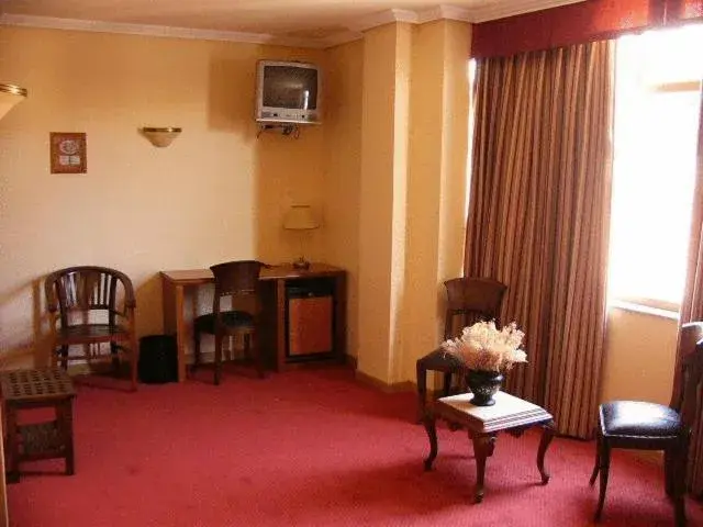 Photo of the whole room, Seating Area in Hotel Don Luis