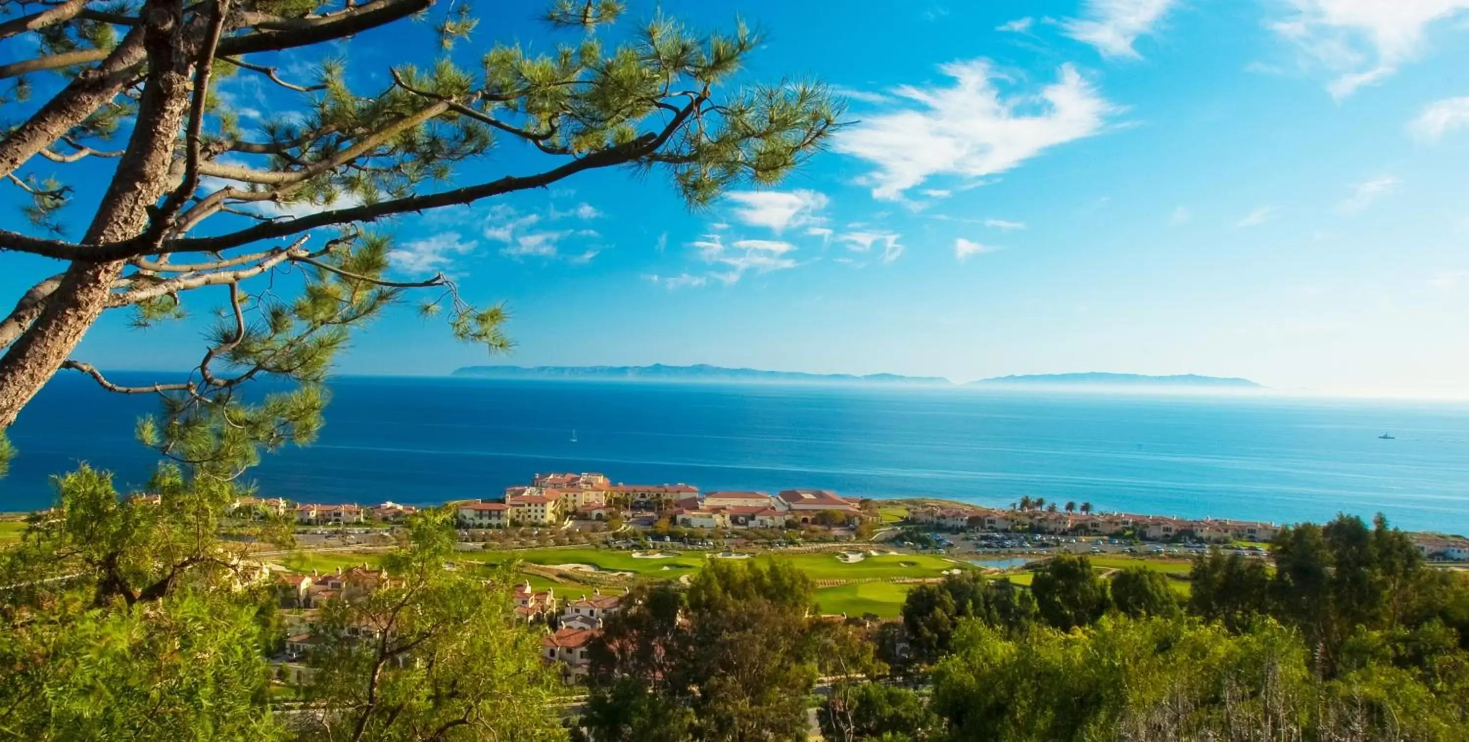 Area and facilities in Terranea Resort