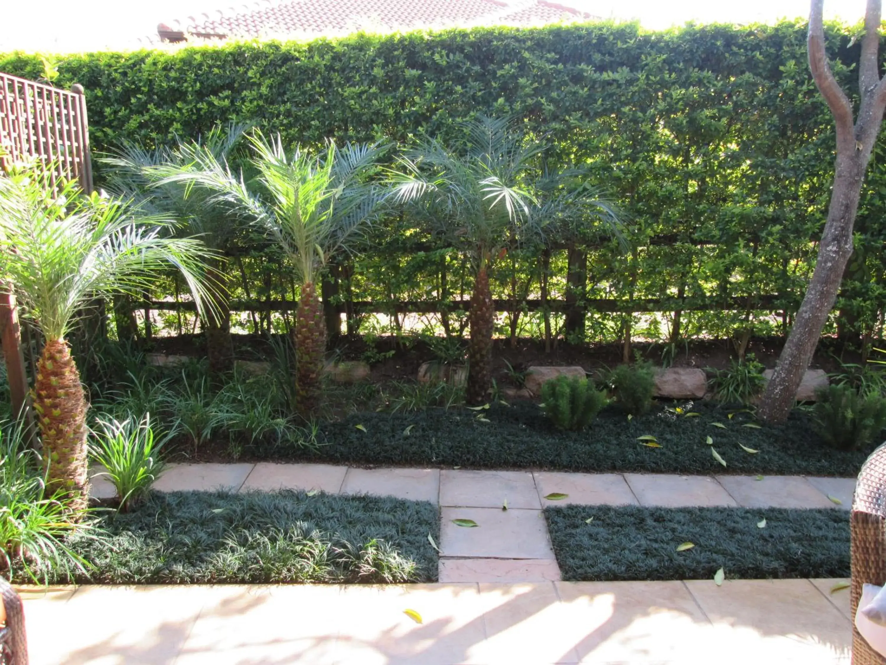 Patio in Schneiders Boutique Hotel