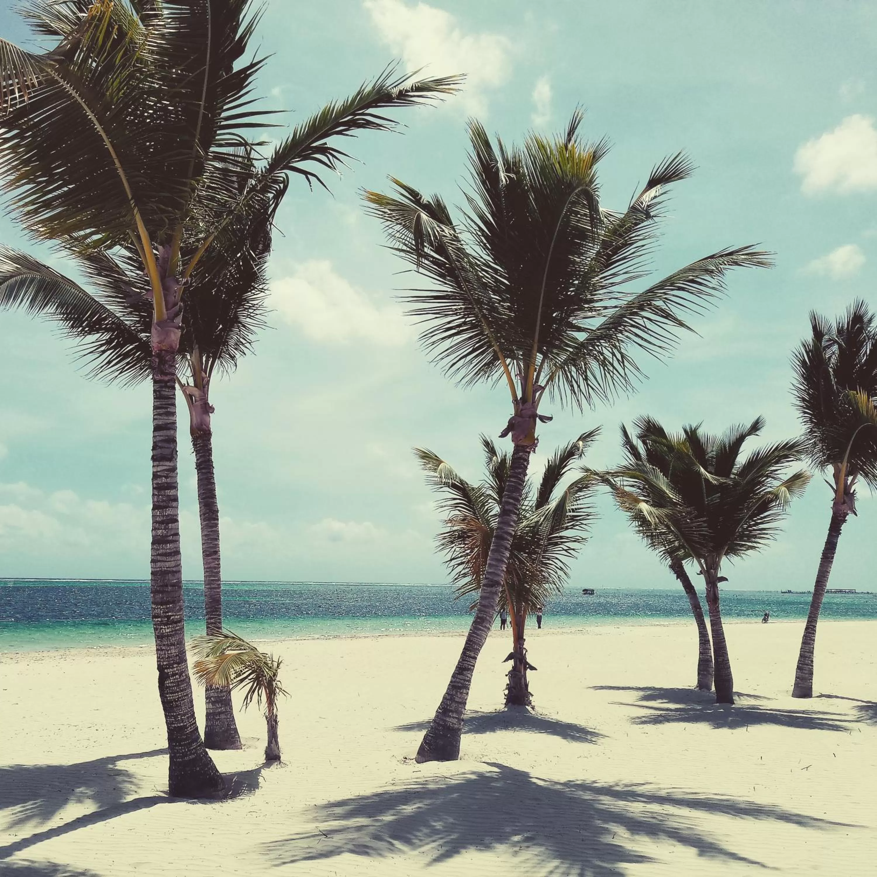 Nearby landmark in Riviera Punta Cana Eco Travelers