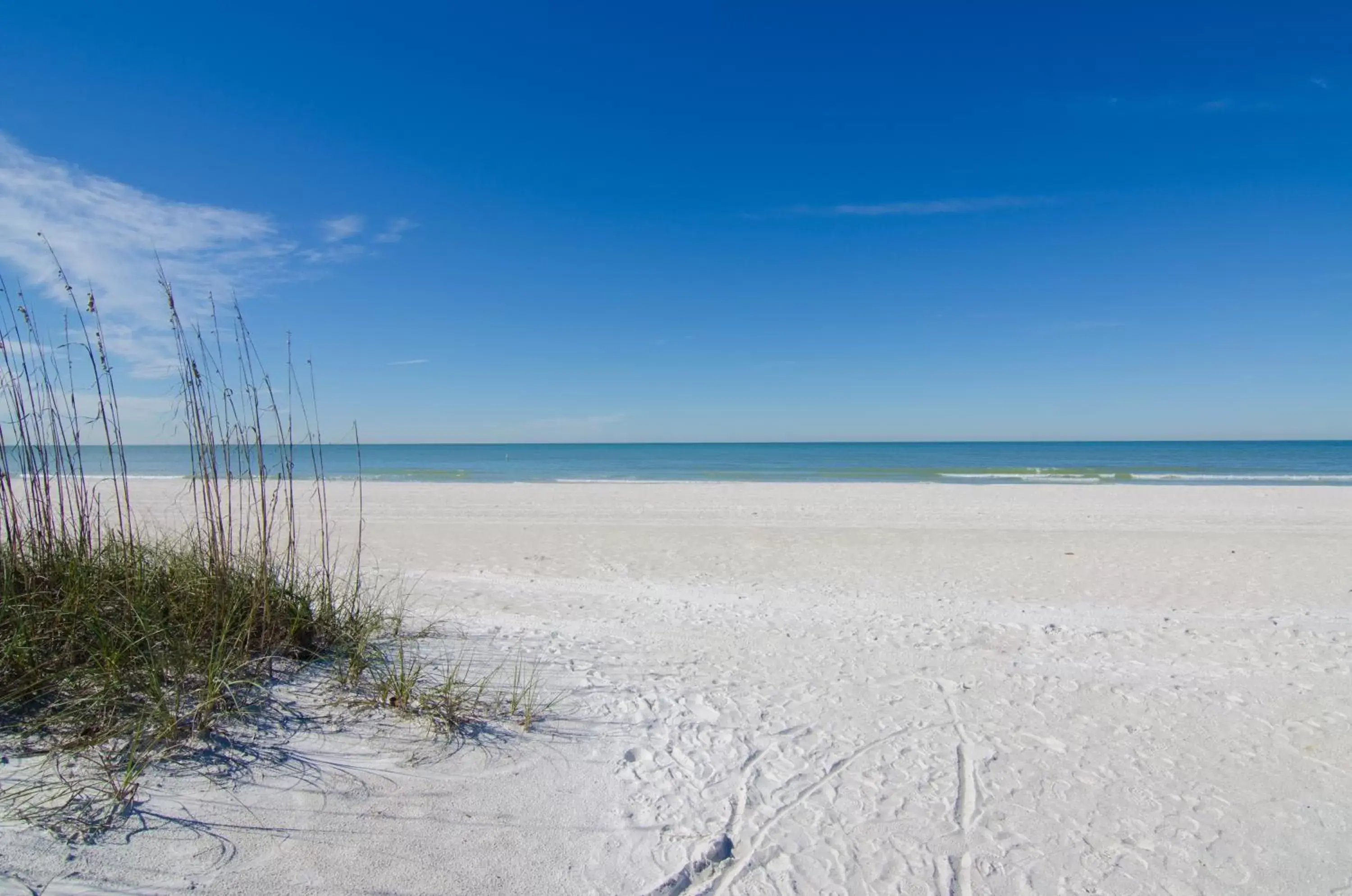 Day, Beach in Inn on the Beach