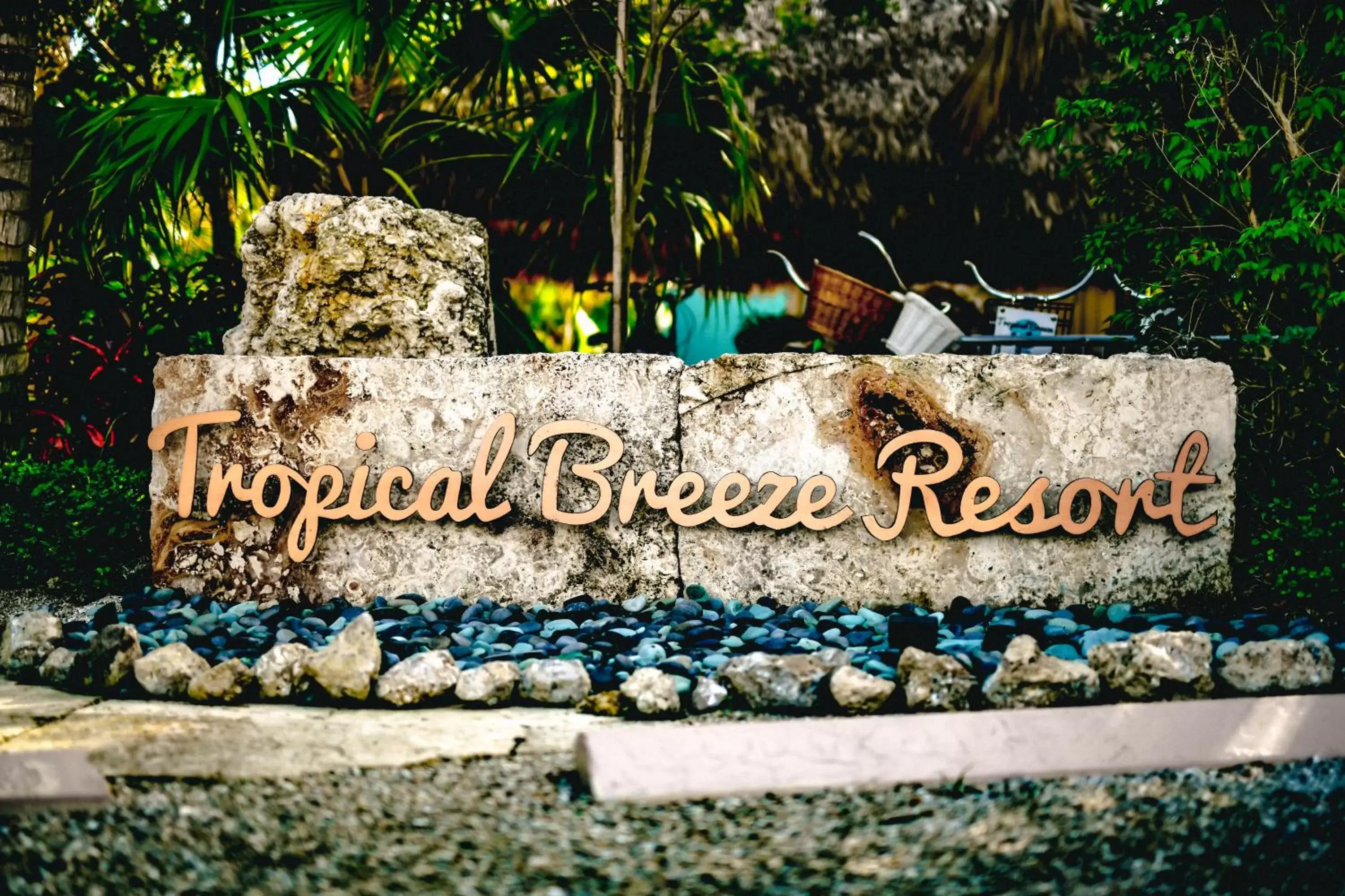 Property logo or sign, Property Logo/Sign in Tropical Breeze Resort