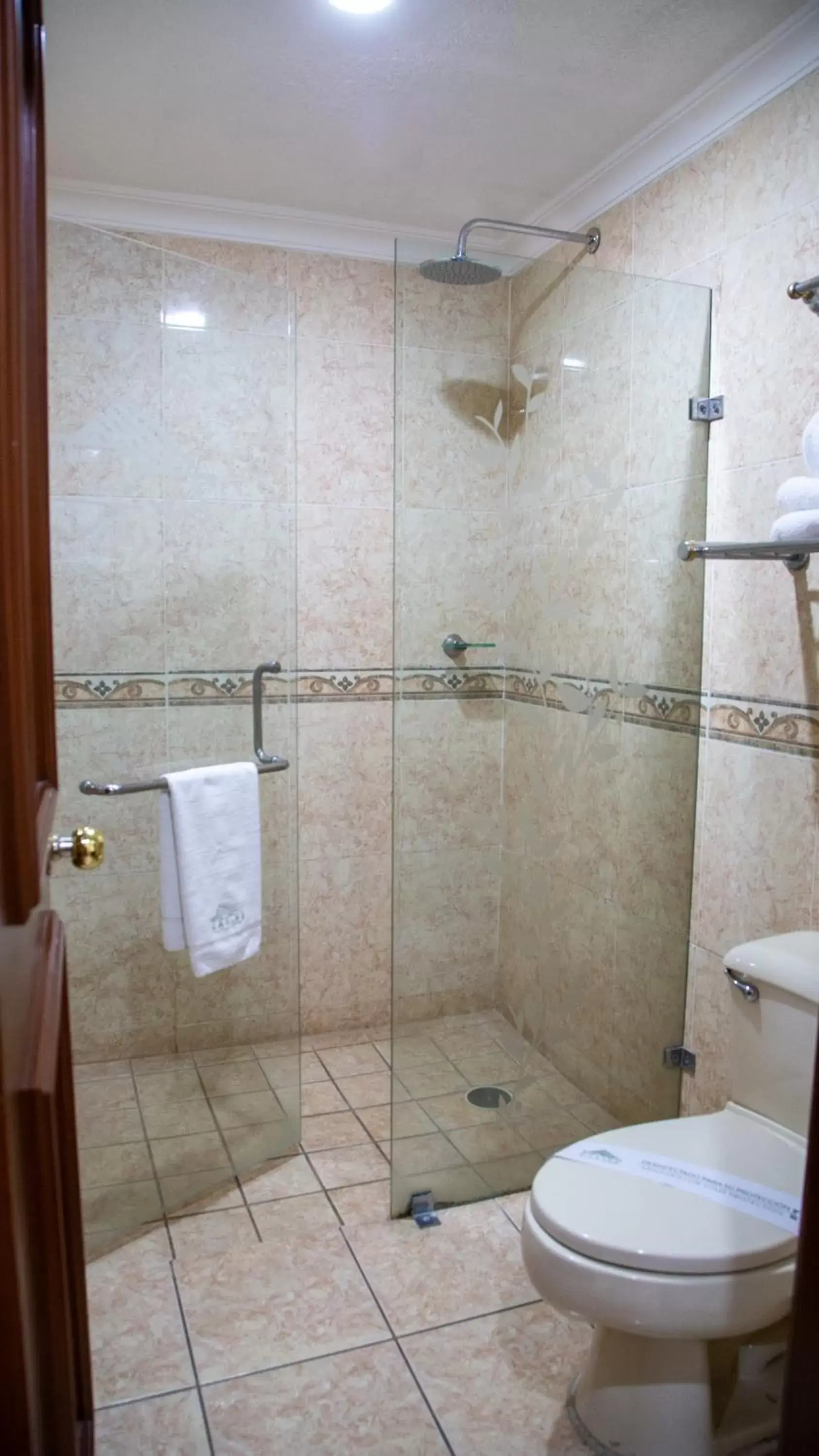 Shower, Bathroom in Hotel Casino Plaza