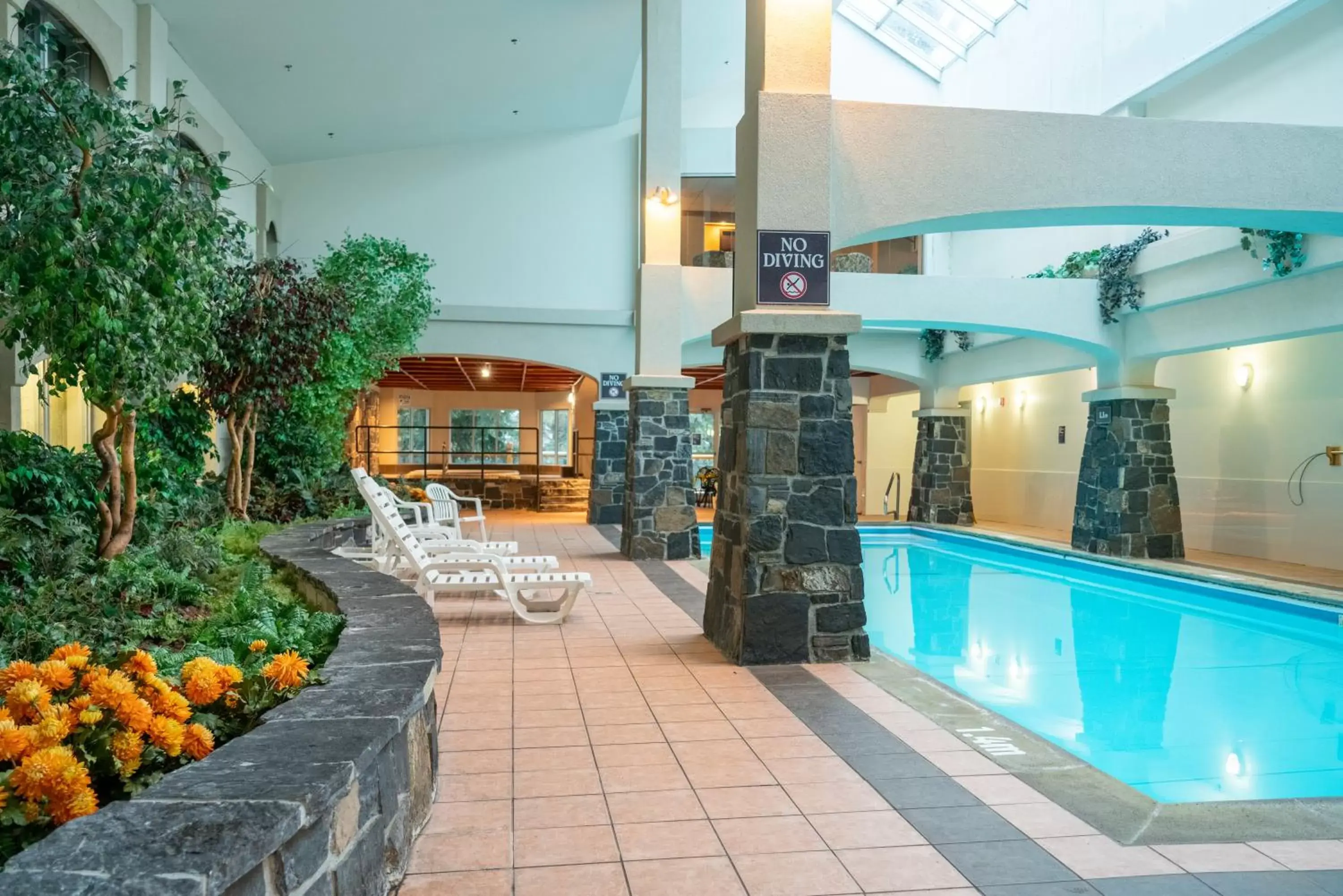 Swimming Pool in The Rundlestone Lodge