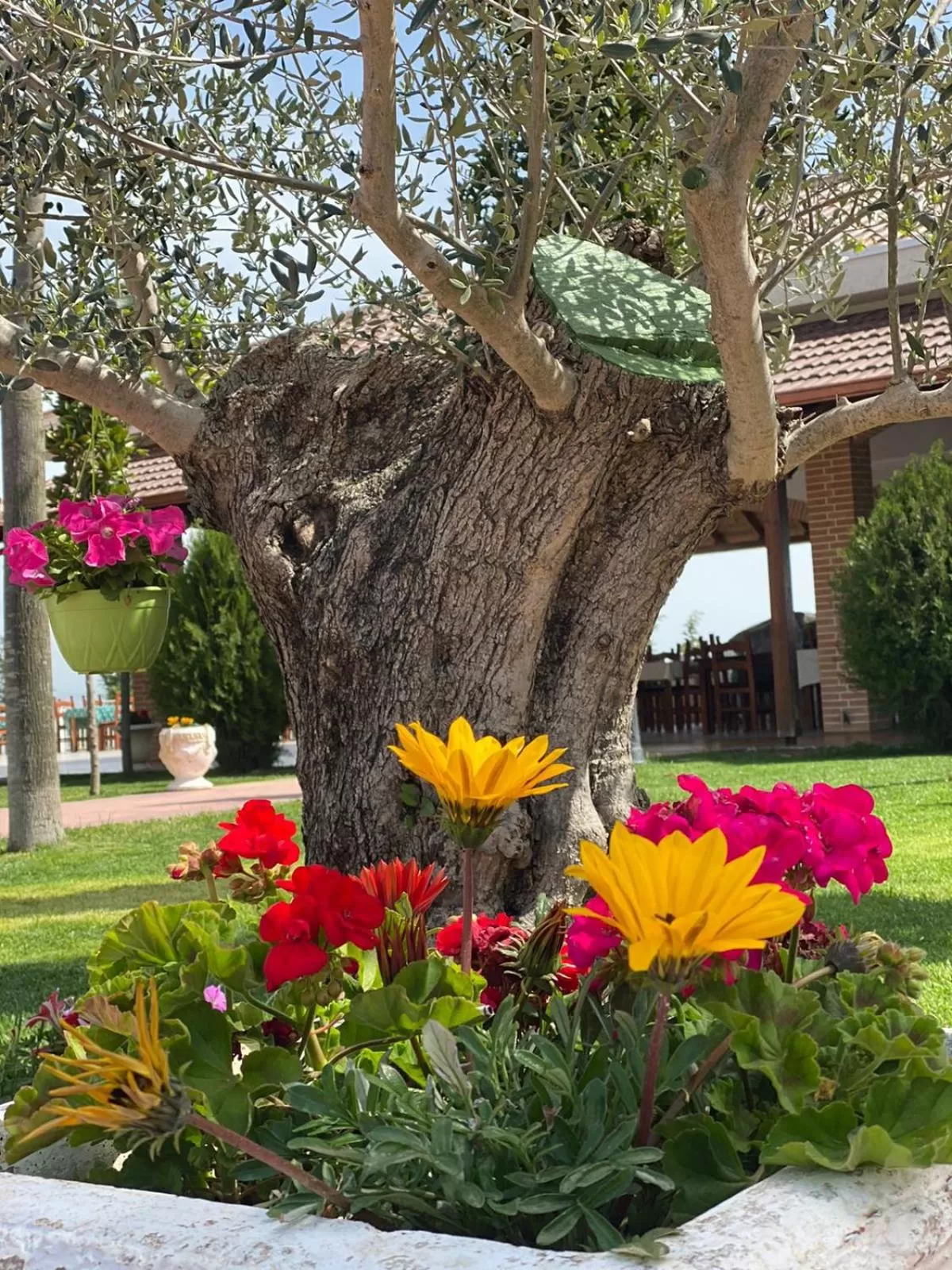 View (from property/room) in Ardenica Boutique Hotel