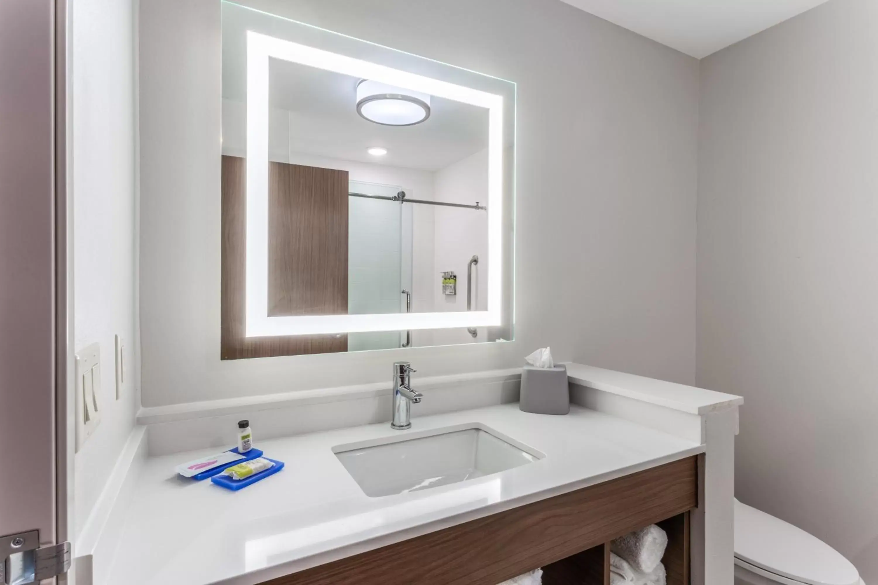 Photo of the whole room, Bathroom in Holiday Inn Express & Suites Kearney, an IHG Hotel