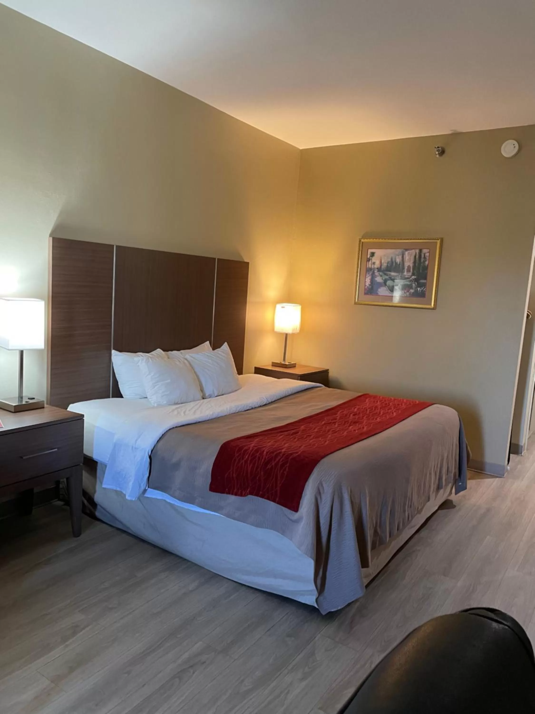 Bedroom, Bed in Econo Lodge Newport Smoky Mountains Gateway