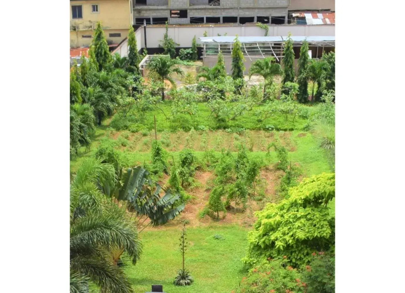 Garden in Ibis Lagos Airport