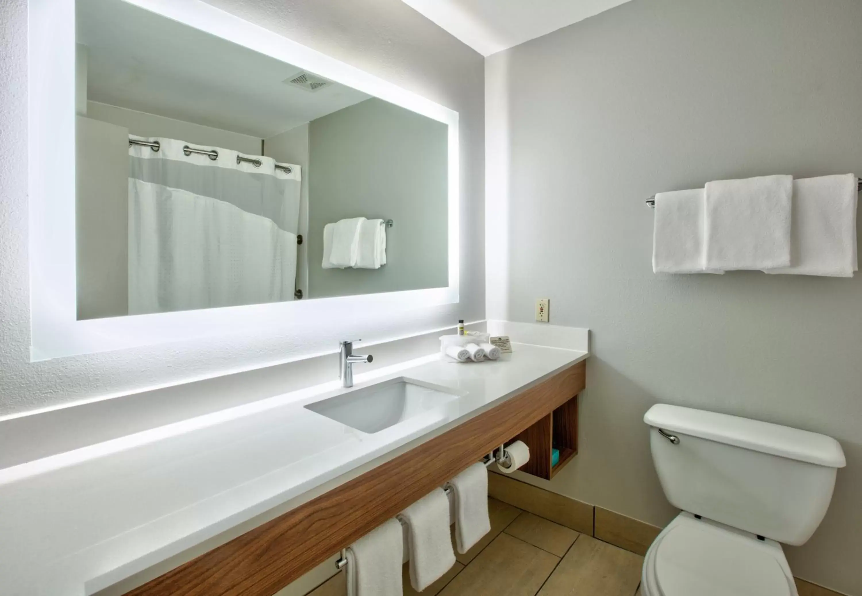 Photo of the whole room, Bathroom in Holiday Inn Express - Hope, an IHG Hotel