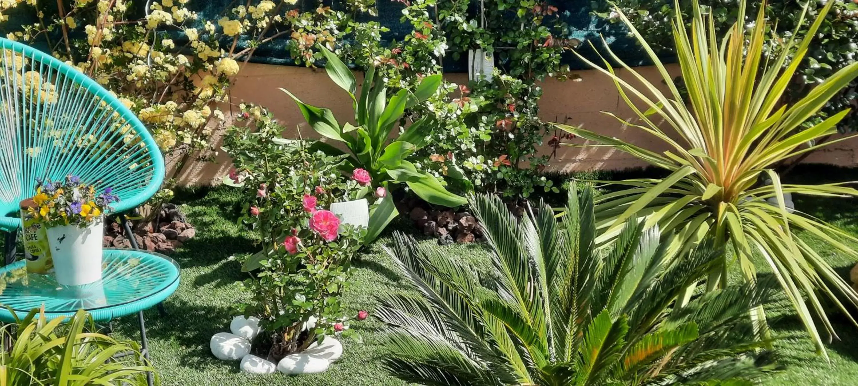 Garden view, Garden in Chambre d'hôtes dans Villa Diane