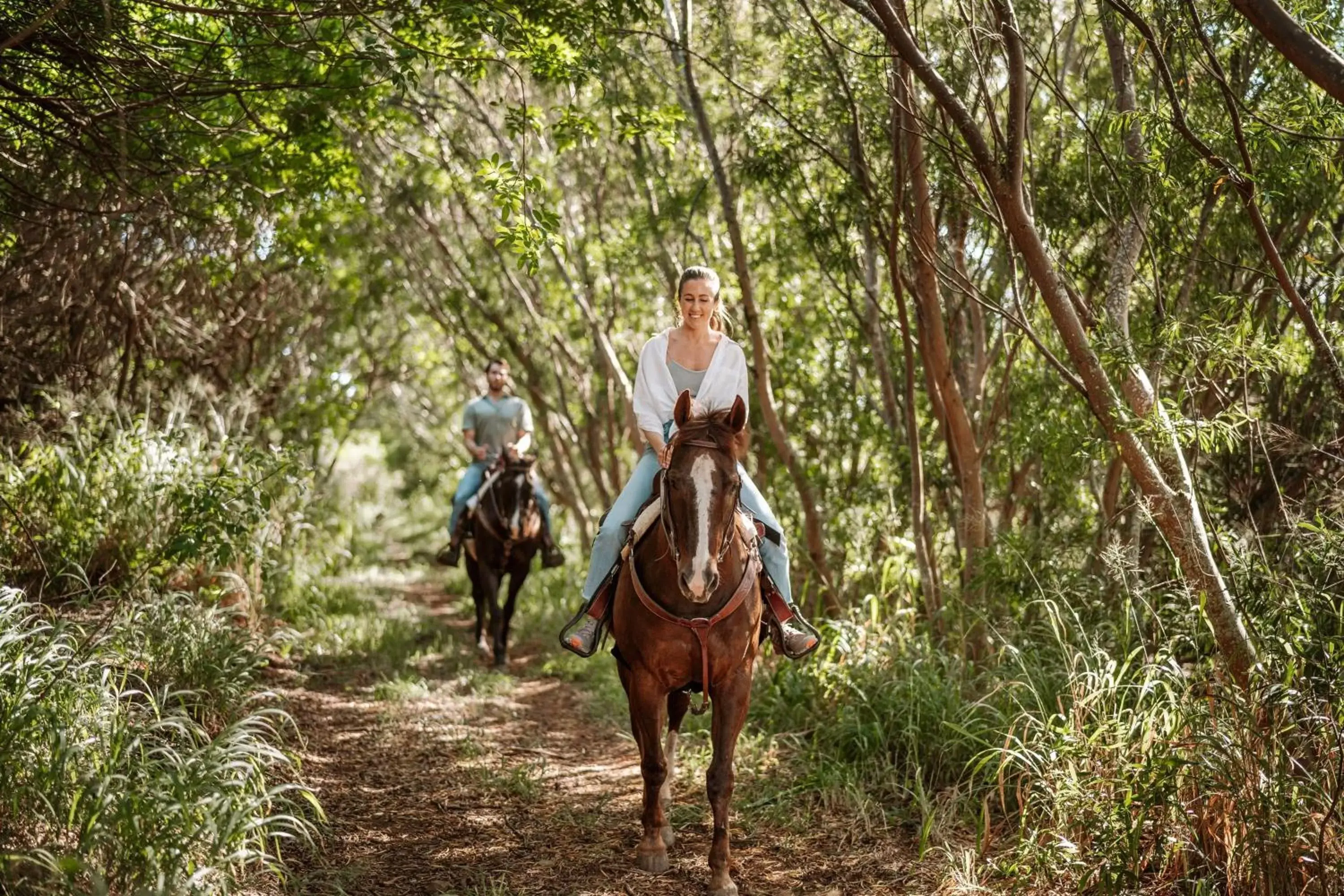 Other, Horseback Riding in The Ritz-Carlton Maui, Kapalua