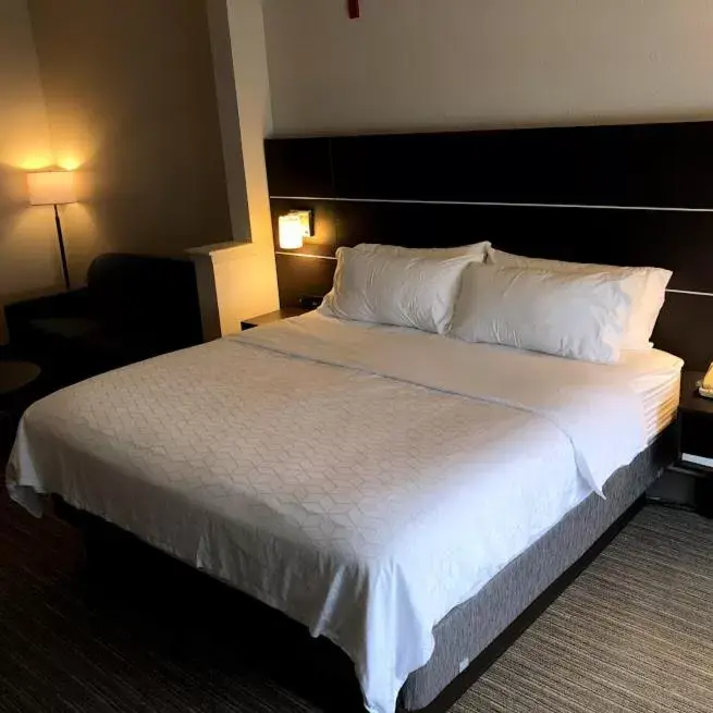 Bed in Holiday Inn Express Hotel & Suites Decatur, TX, an IHG Hotel