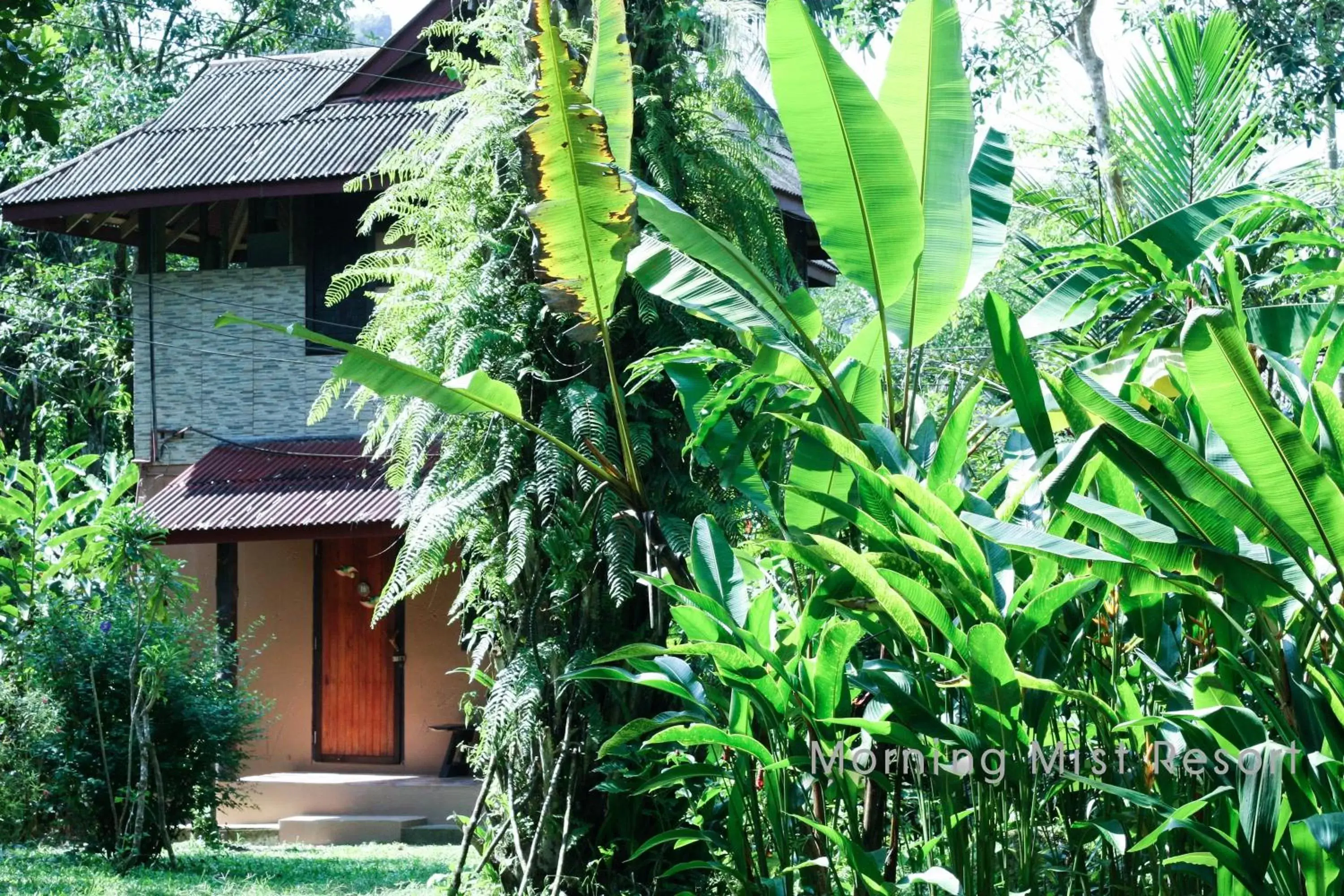 Facade/entrance, Property Building in Khao Sok Morning Mist Resort