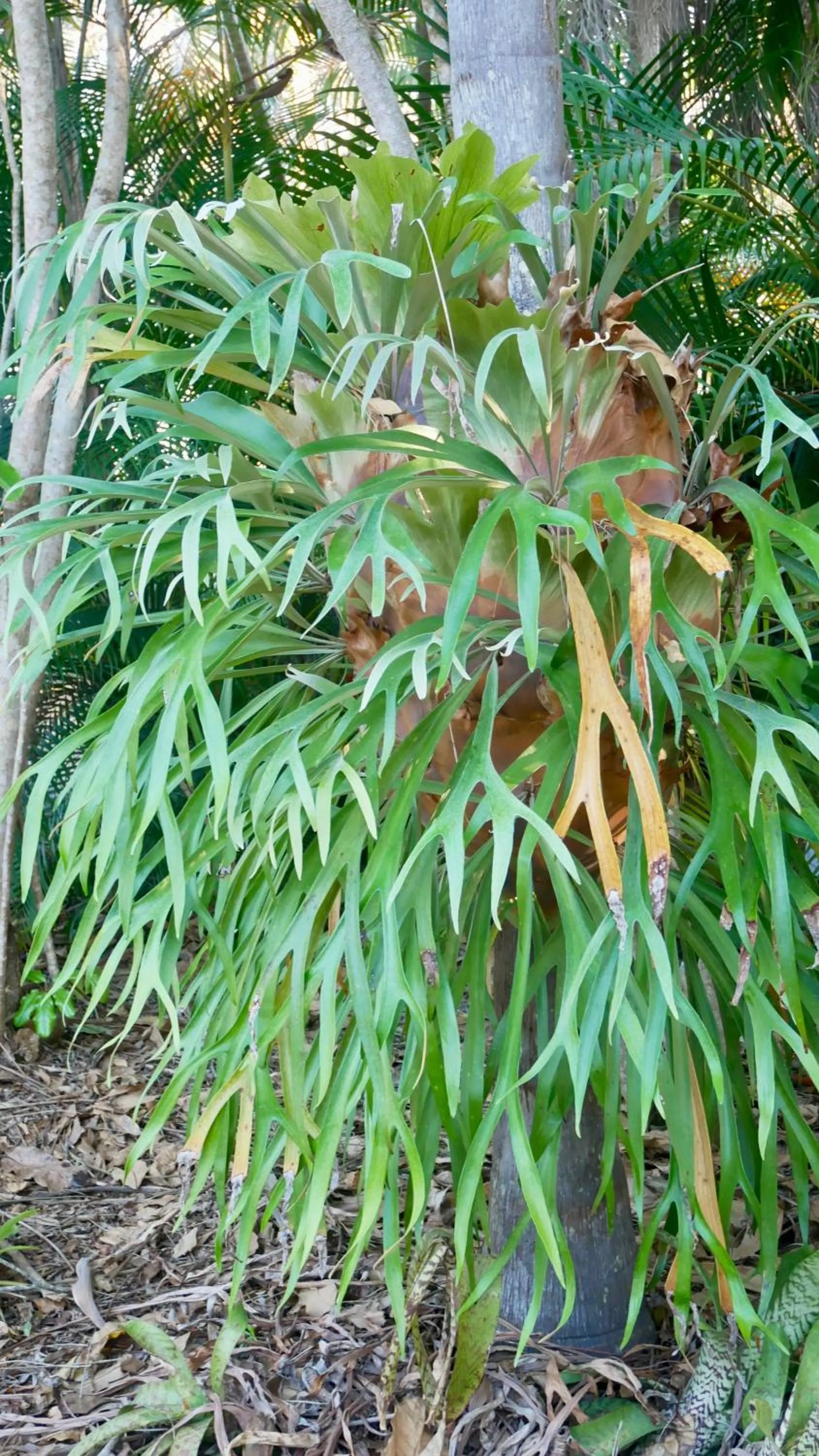 Emeraldene Inn & Eco-Lodge