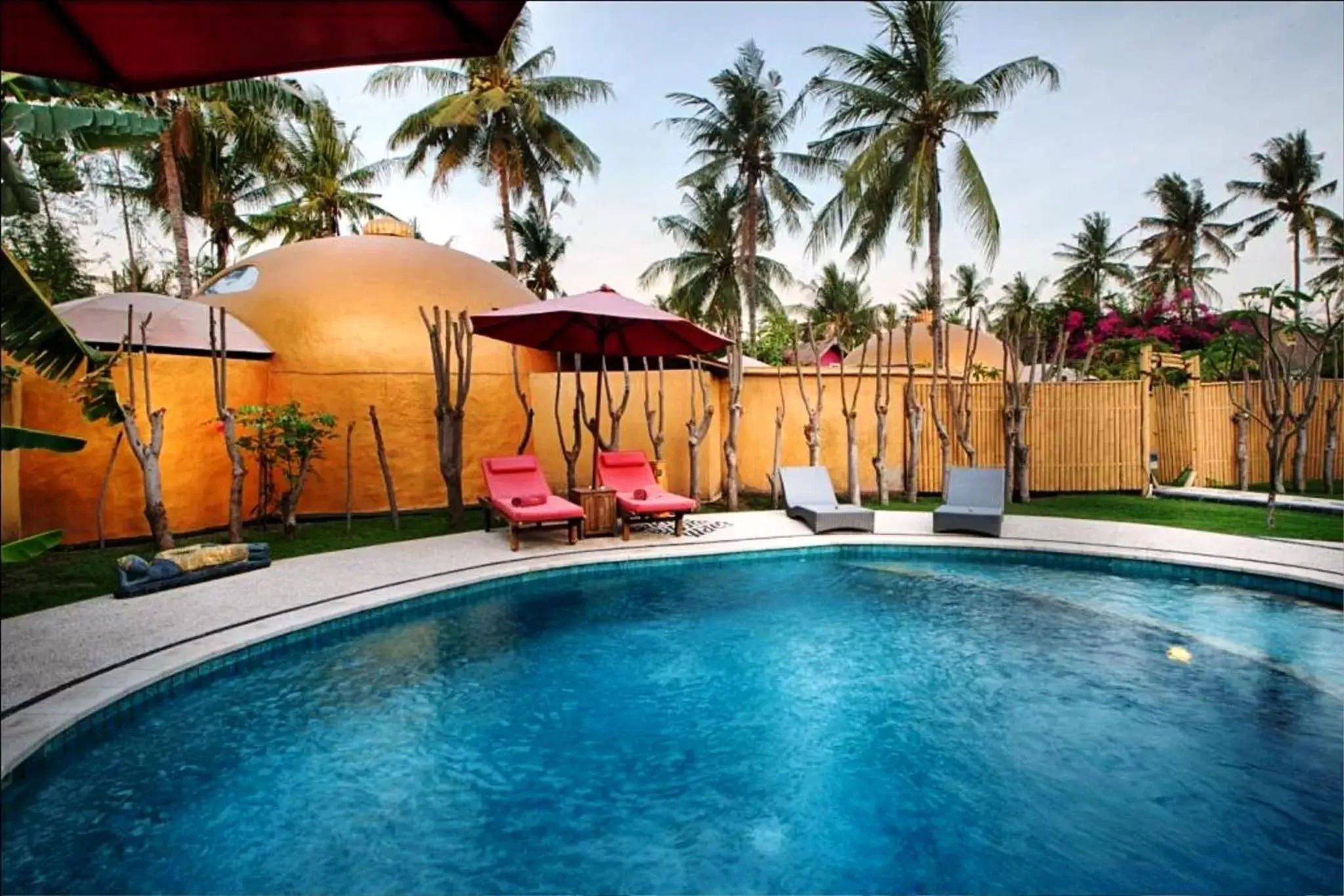 Garden, Swimming Pool in Bel Air Resort