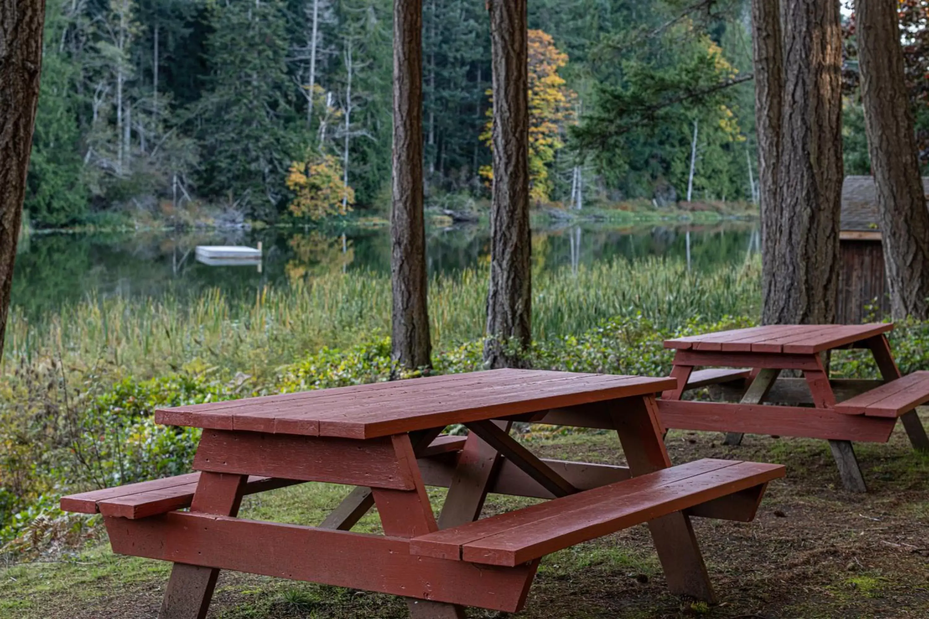 BBQ facilities in Cusheon Lake Resort