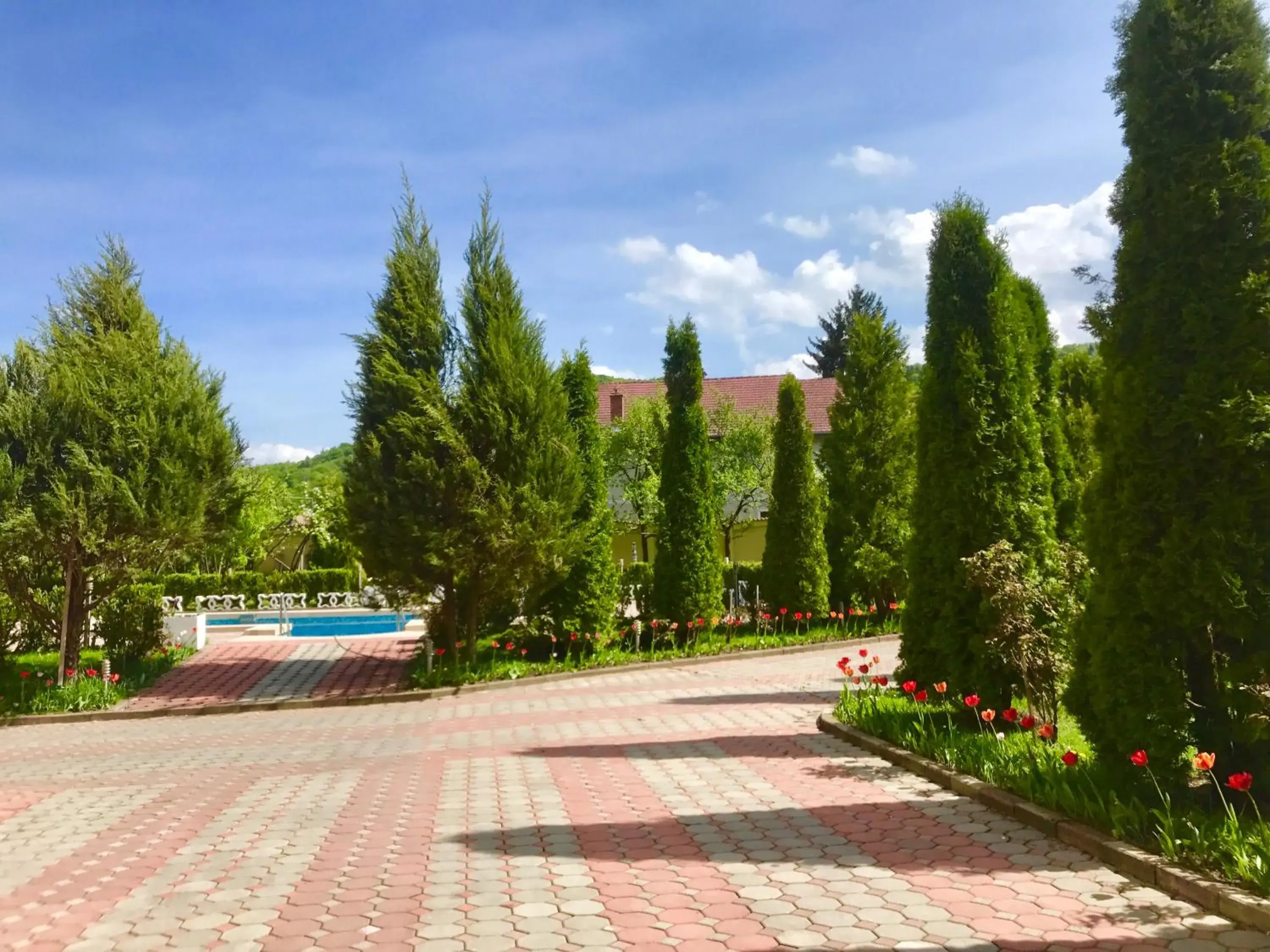 Garden in Grand Hotel