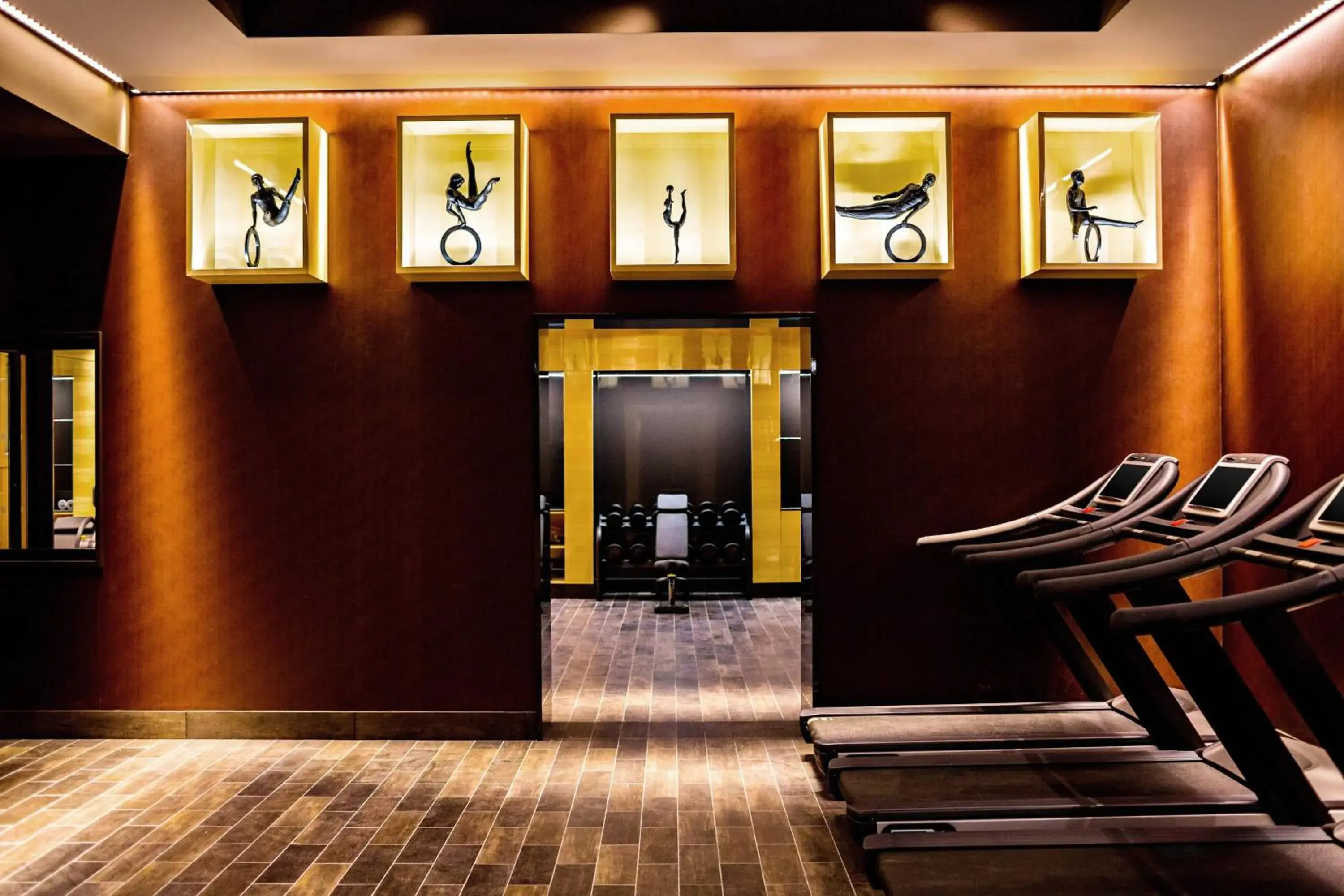 Fitness centre/facilities in Prince de Galles, a Luxury Collection hotel, Paris