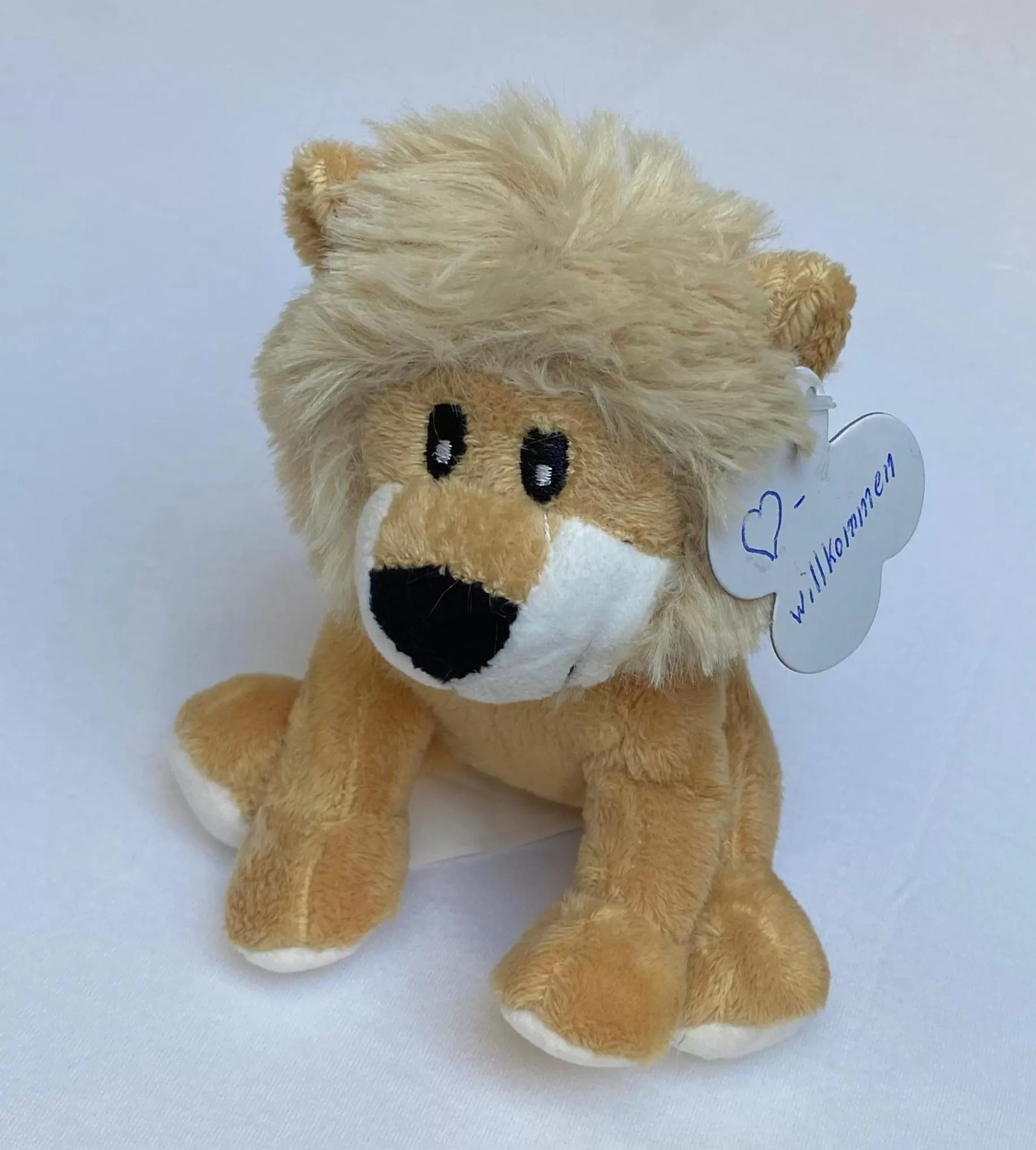 Standard Single Room in BürgerhausLöwen