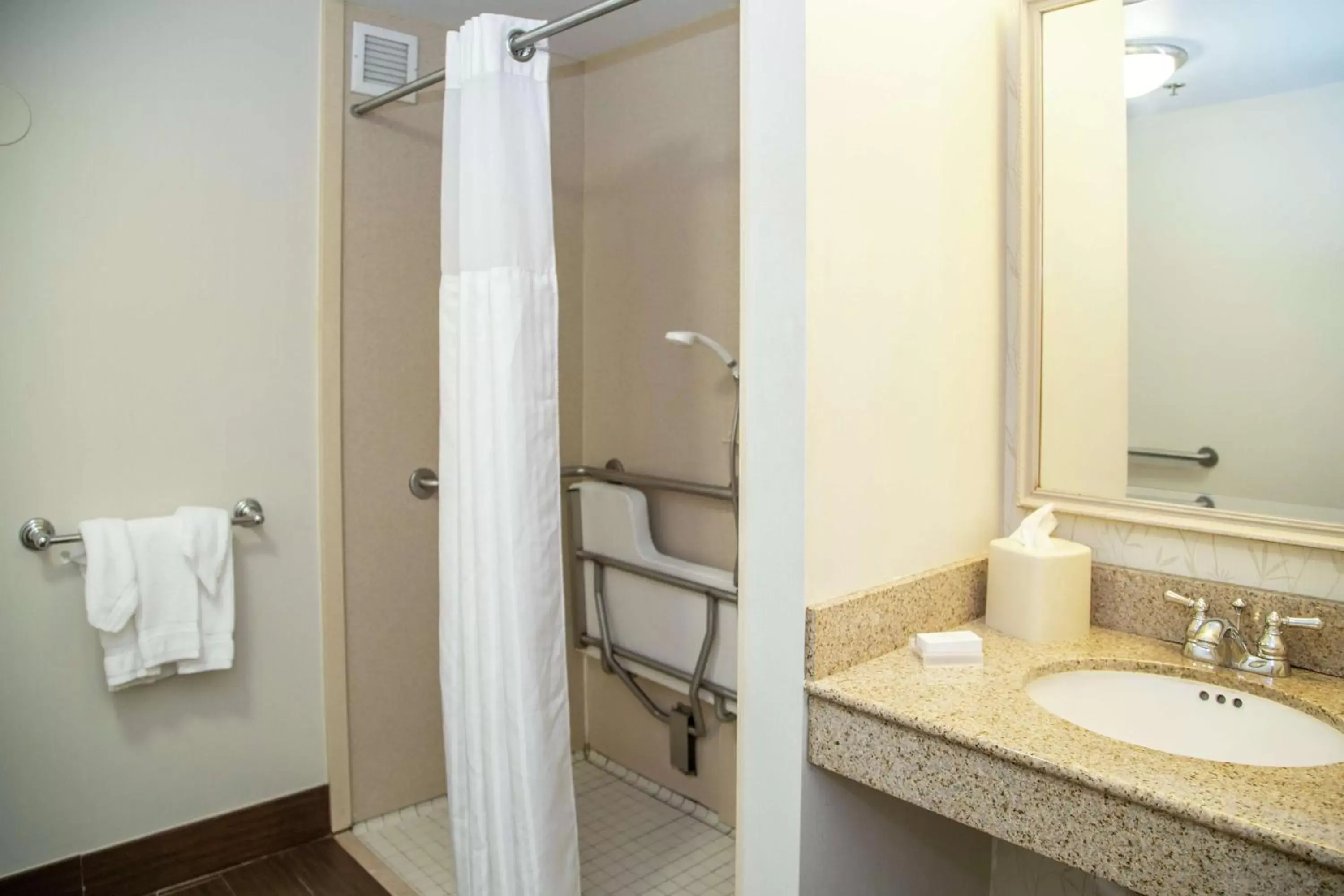 Bathroom in Hampton Inn & Suites Blairsville