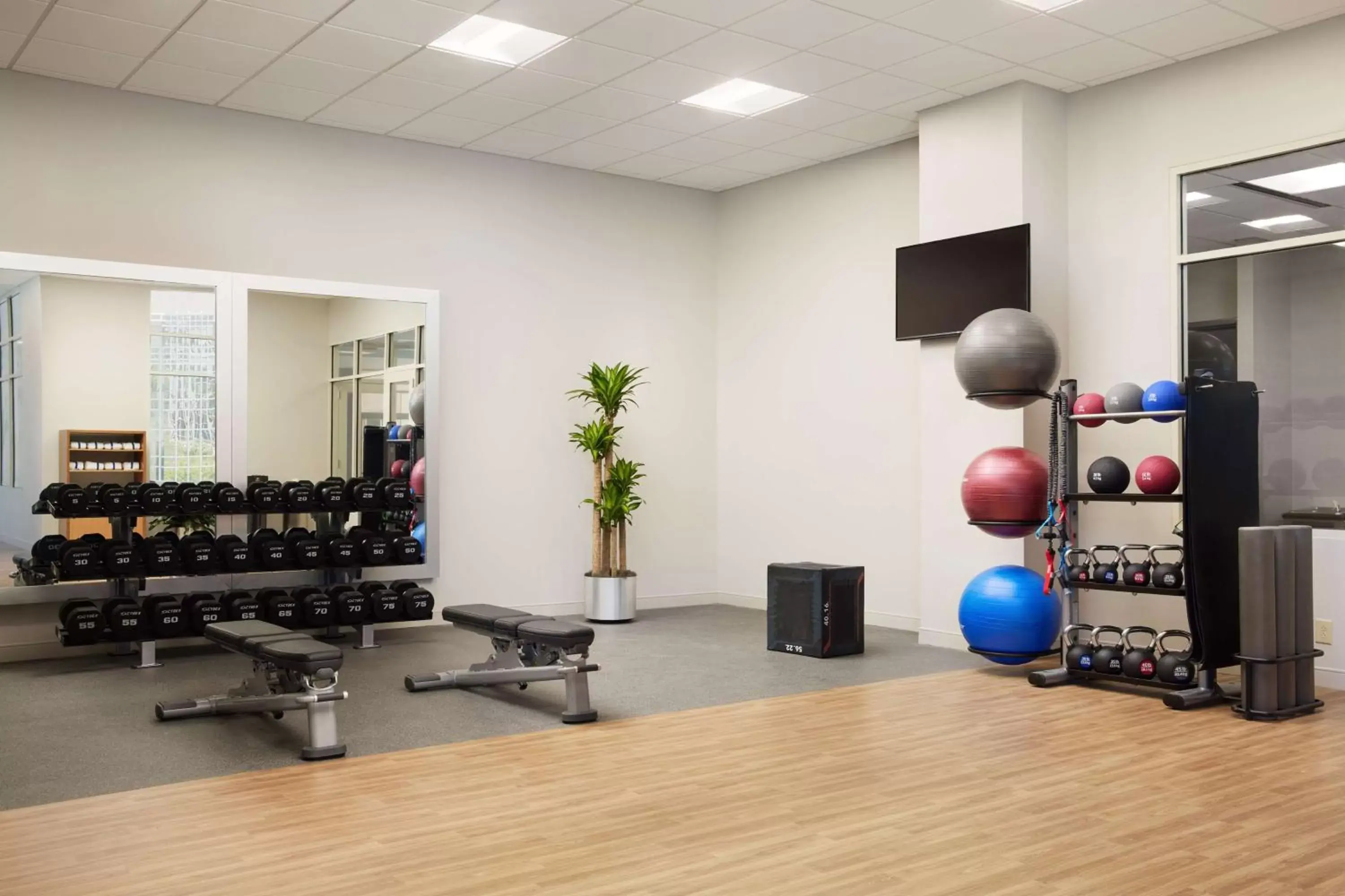 Fitness centre/facilities, Fitness Center/Facilities in Hilton Charlotte Airport Hotel