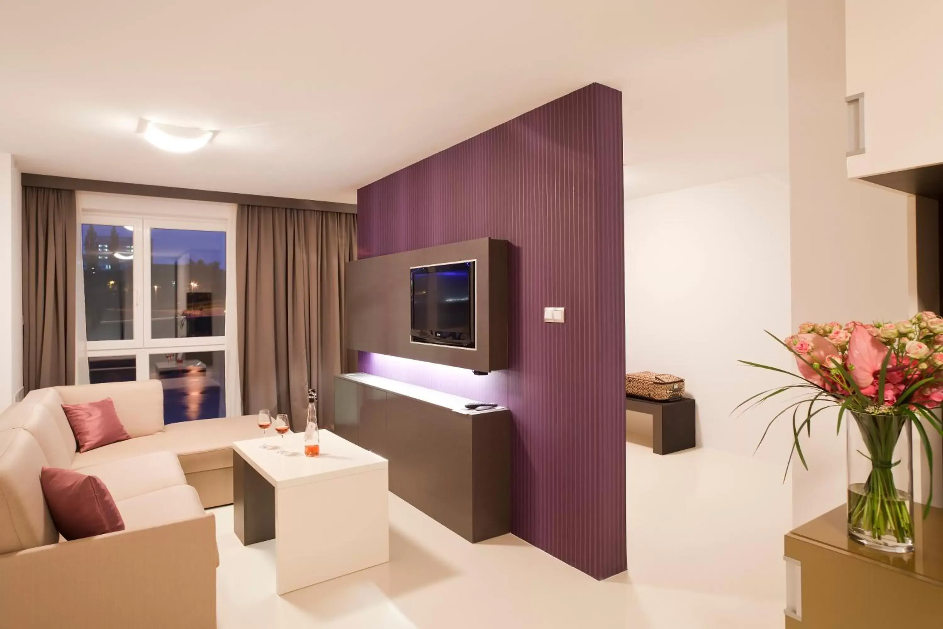 TV and multimedia, TV/Entertainment Center in Hotel City Maribor