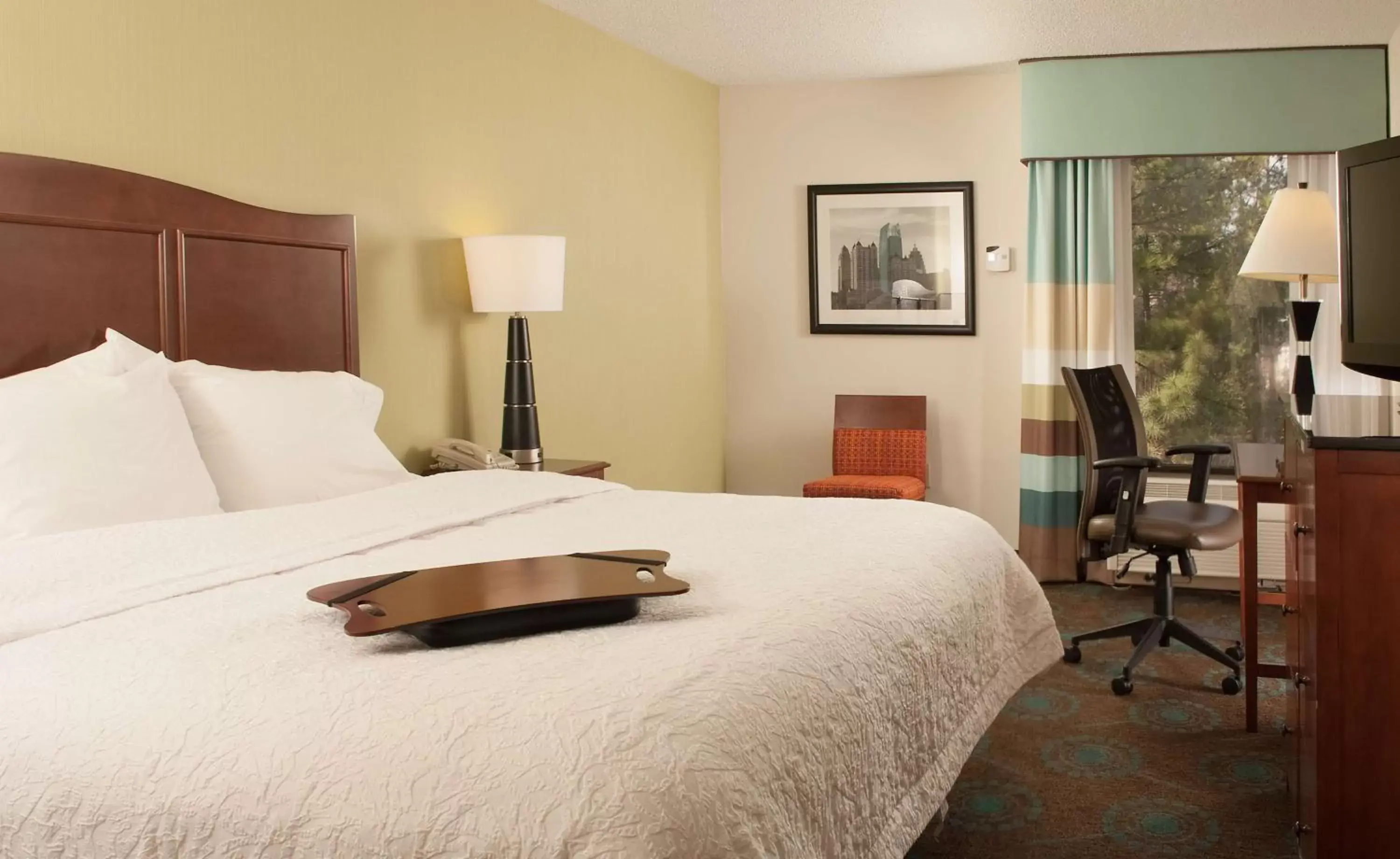 Bed in Hampton Inn Atlanta-North Druid Hills