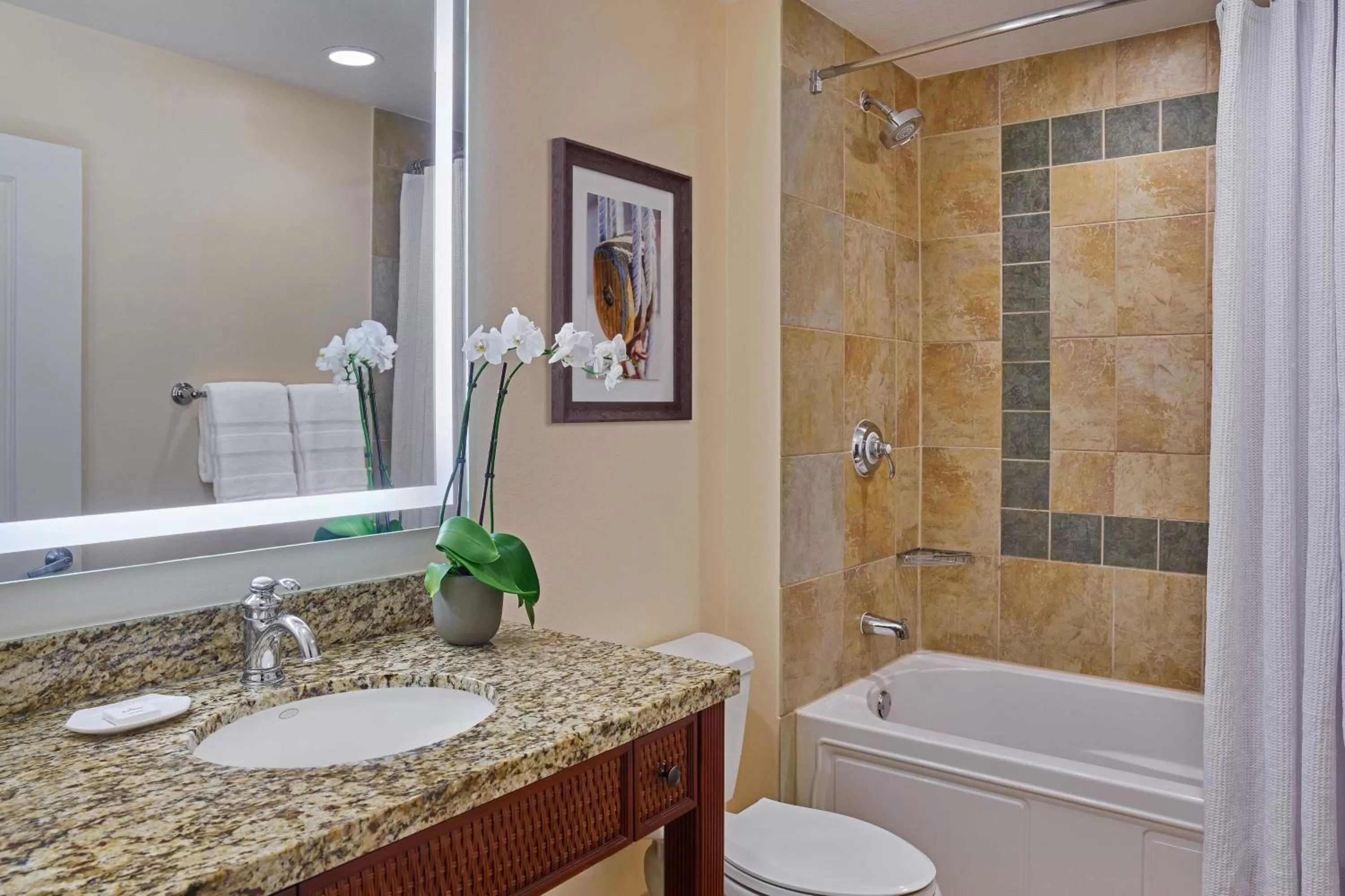 Bathroom in Sheraton Vistana Villages Resort Villas, I-Drive Orlando
