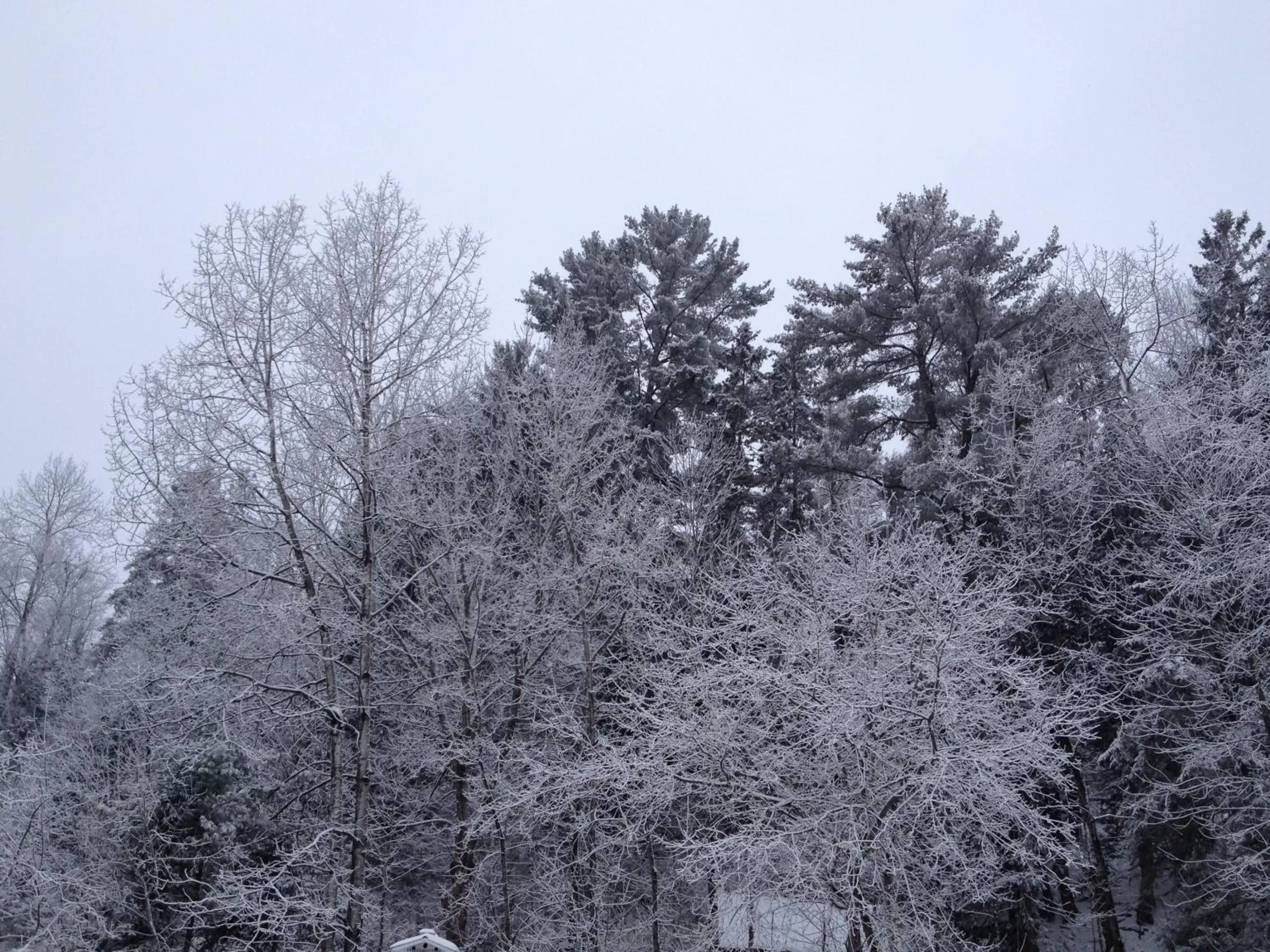 Natural landscape, Winter in Auberge De Mon Petit Chum B&B