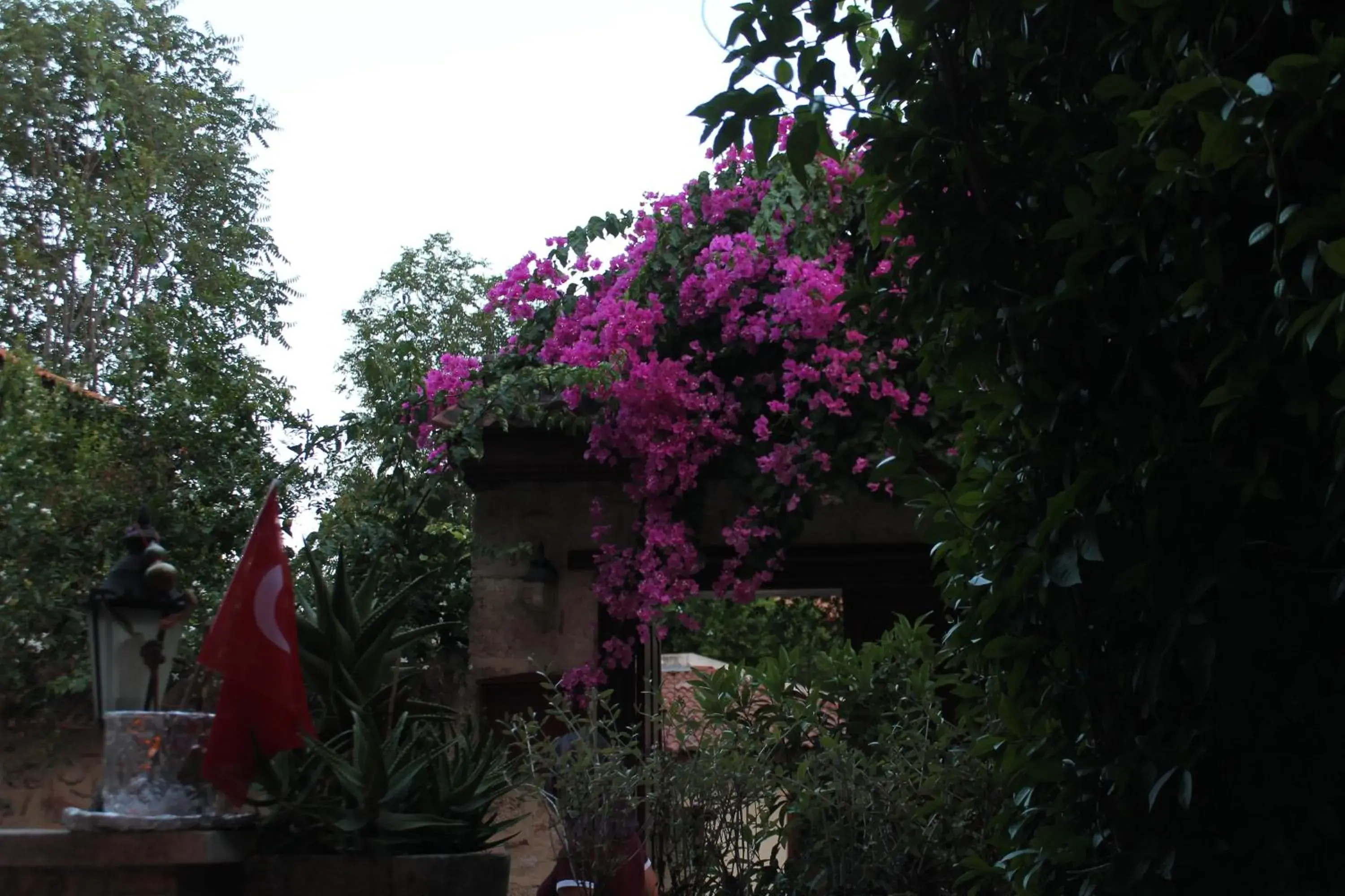 Garden in Hadrian Gate Hotel