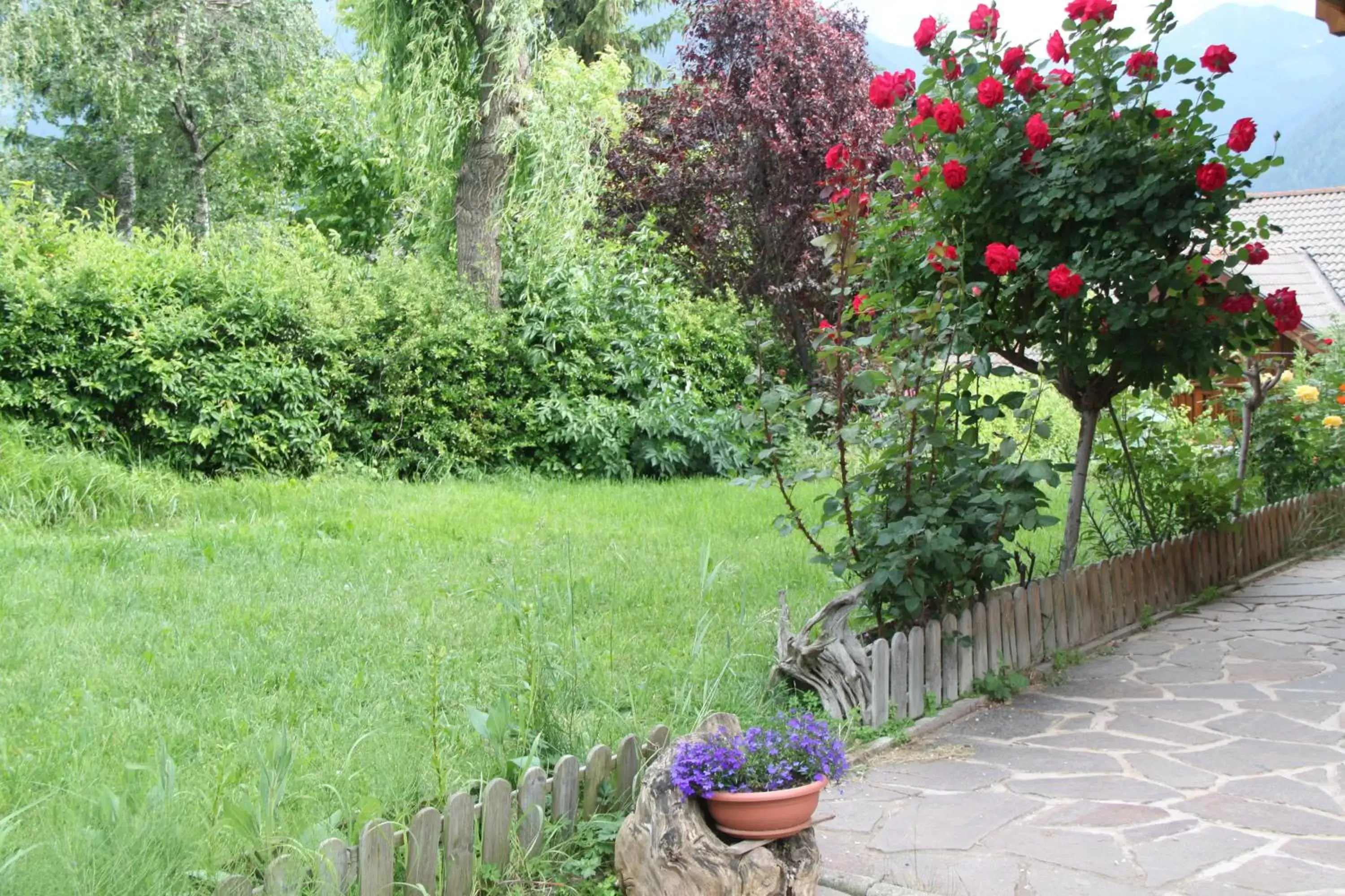 Garden in Garnì Goccia d'Oro