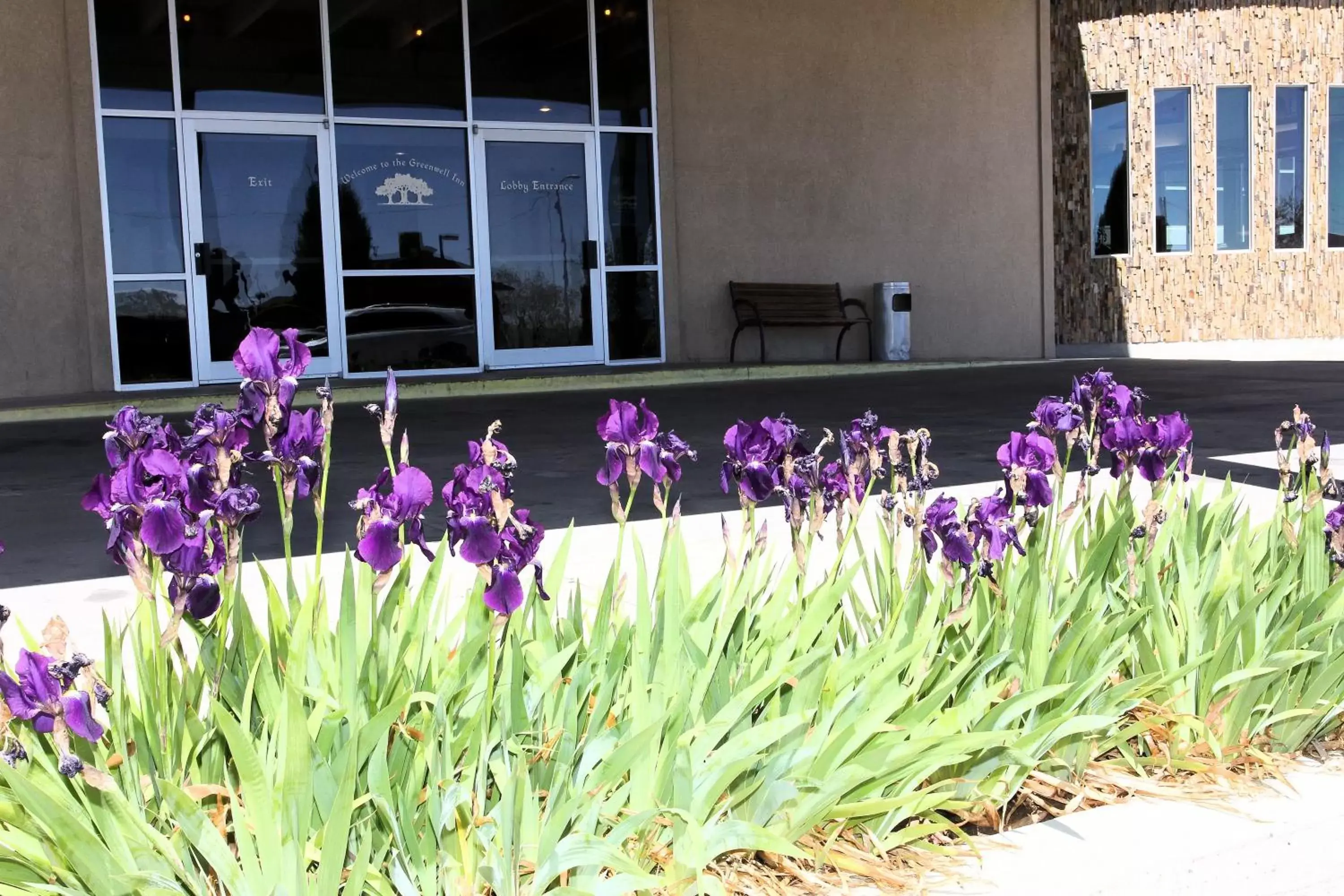 Facade/entrance in Greenwell Inn Facade/entrance in Greenwell Inn