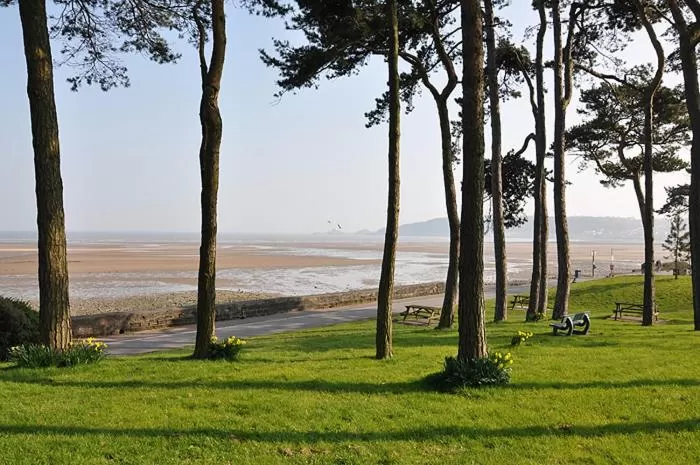 Natural landscape in Patricks Boathouse