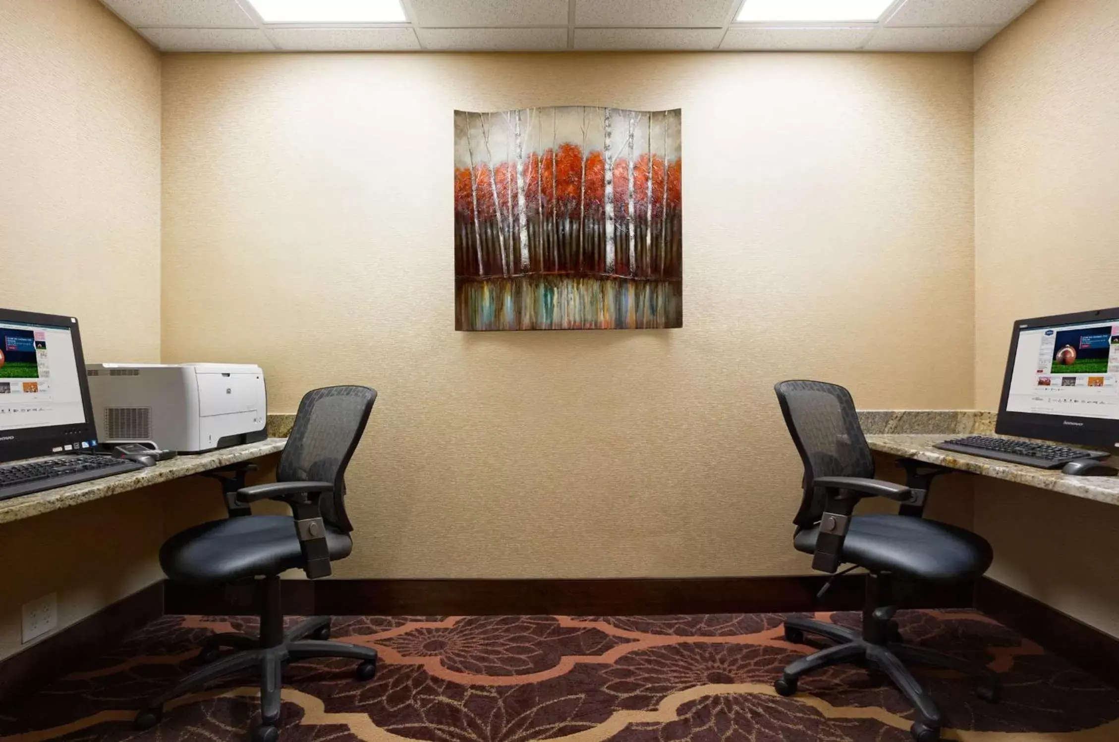 Business facilities, Business Area/Conference Room in Hampton Inn Santee-I-95