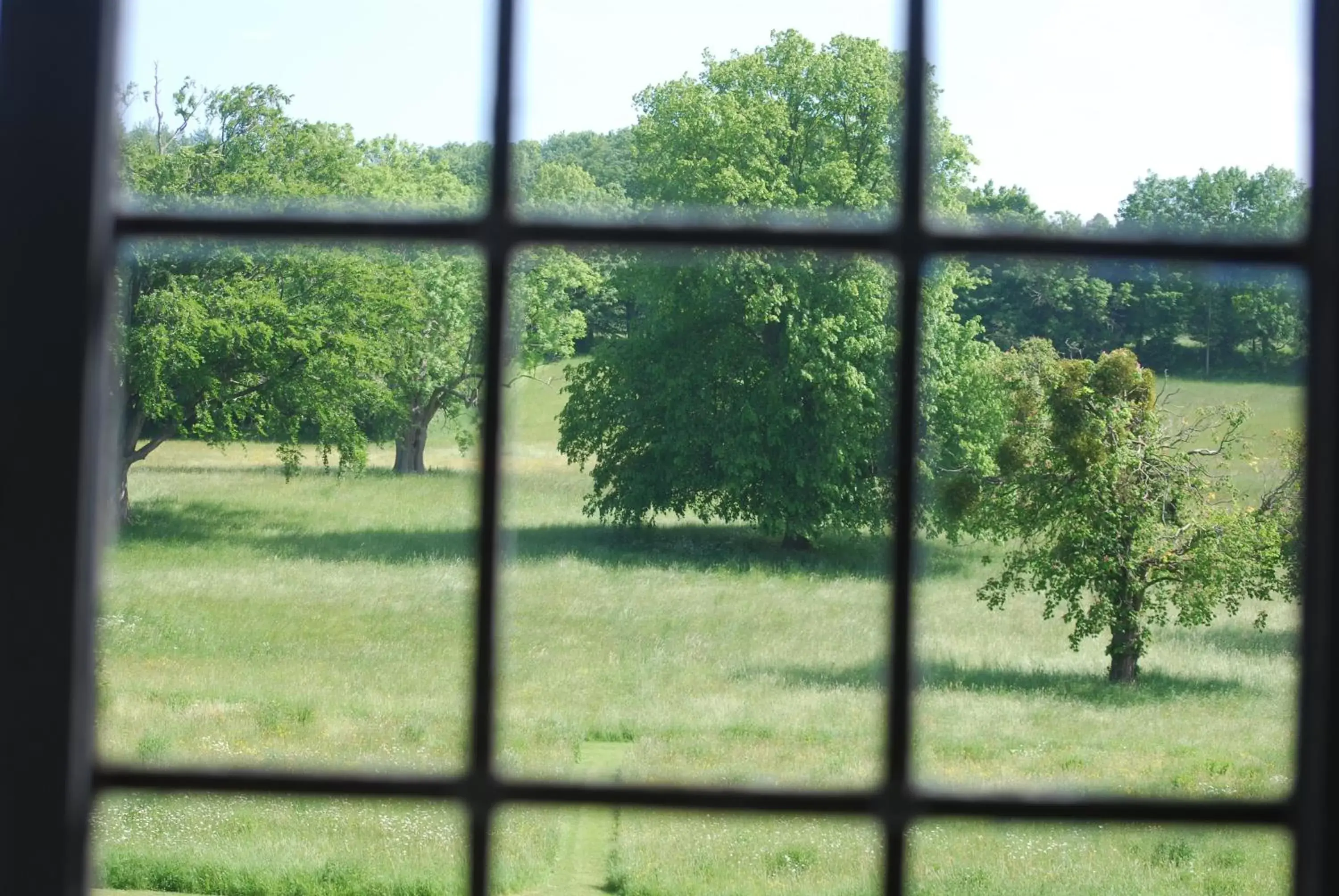 Garden view in The Den at Backwell Down