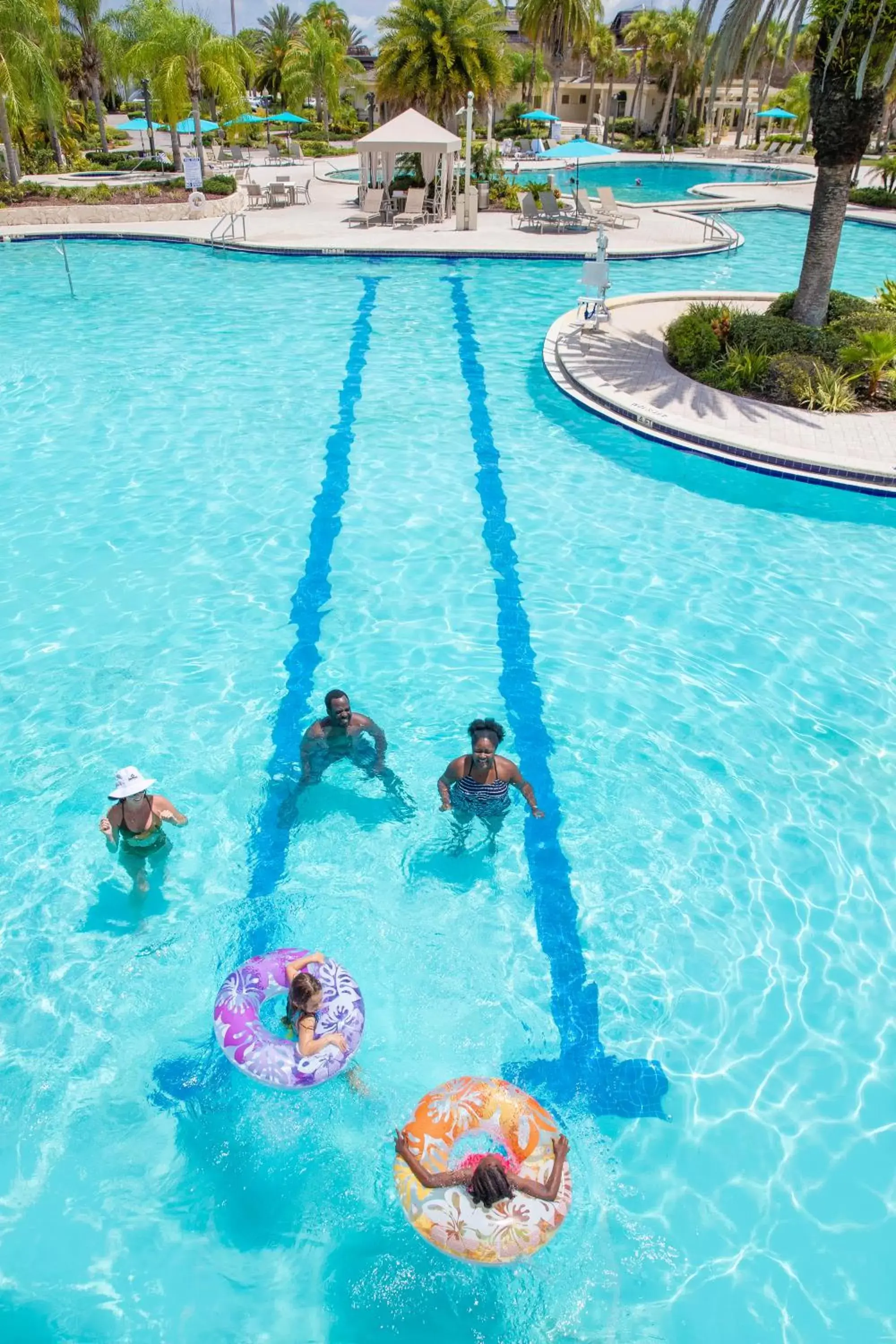 Pool view, Swimming Pool in Saddlebrook Golf Resort & Spa Tampa North-Wesley Chapel