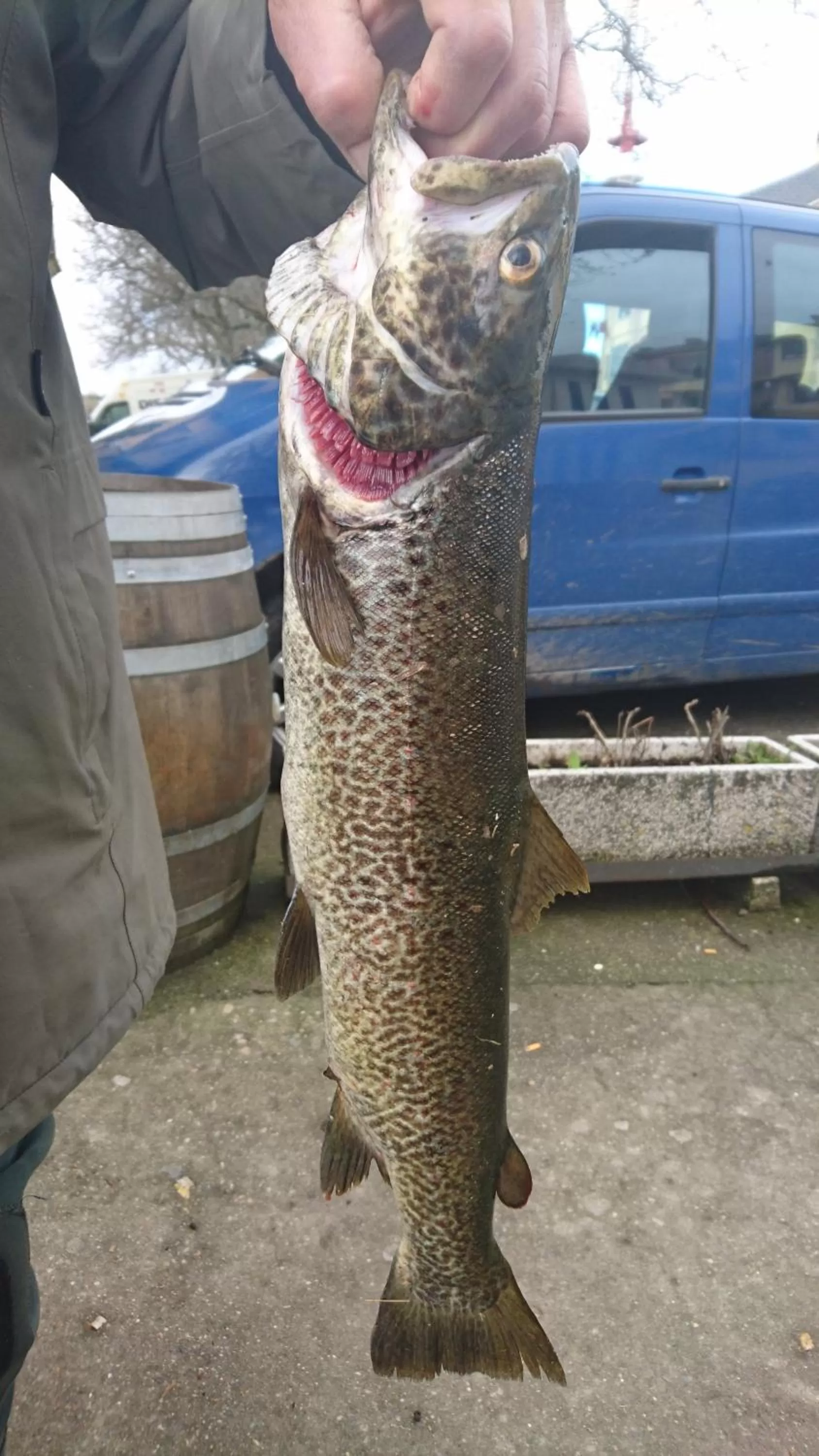 Fishing in Tierra De Lobos