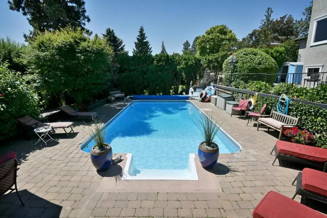 Swimming Pool in A Touch of English B&B